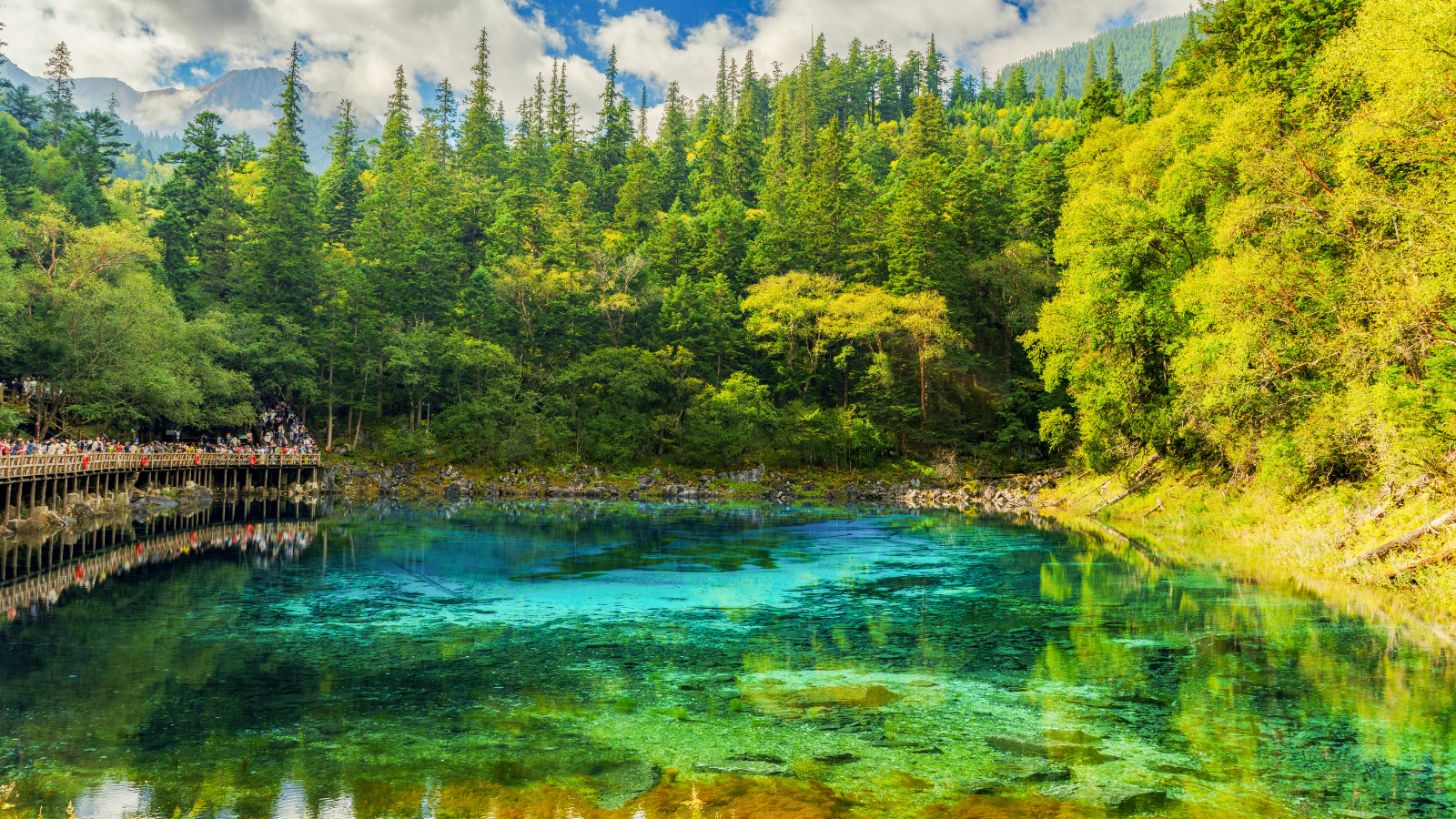 Kinh nghiệm du lịch Cửu Trại Câu Tứ Xuyên mùa thu: Lịch trình 3 ngày 2 đêm trọn vẹn sắc đỏ lá phong