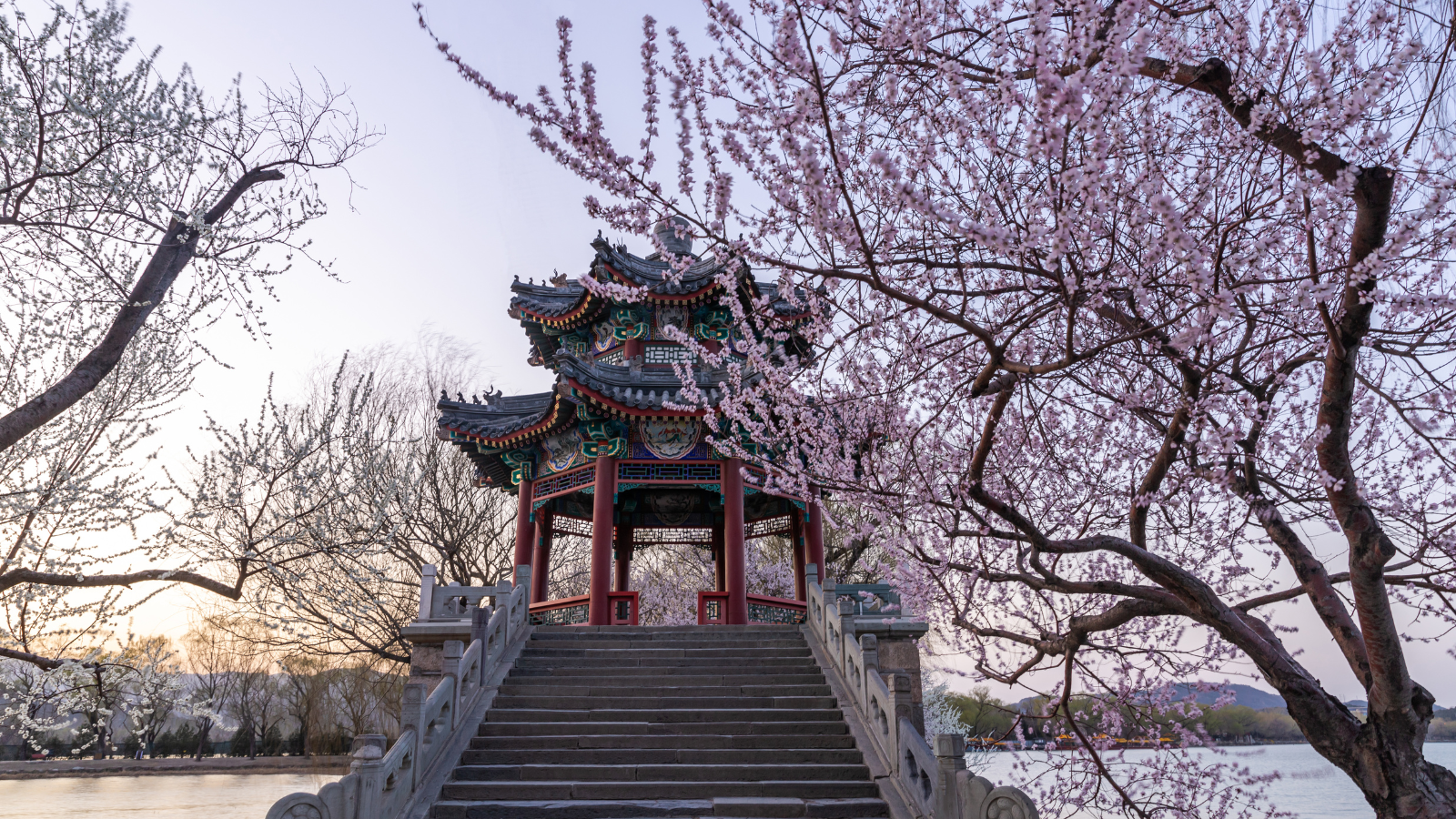 Kinh nghiệm du lịch Bắc Kinh tự túc A-Z mùa xuân: Hành trình khám phá trọn vẹn từ visa đến trải nghiệm