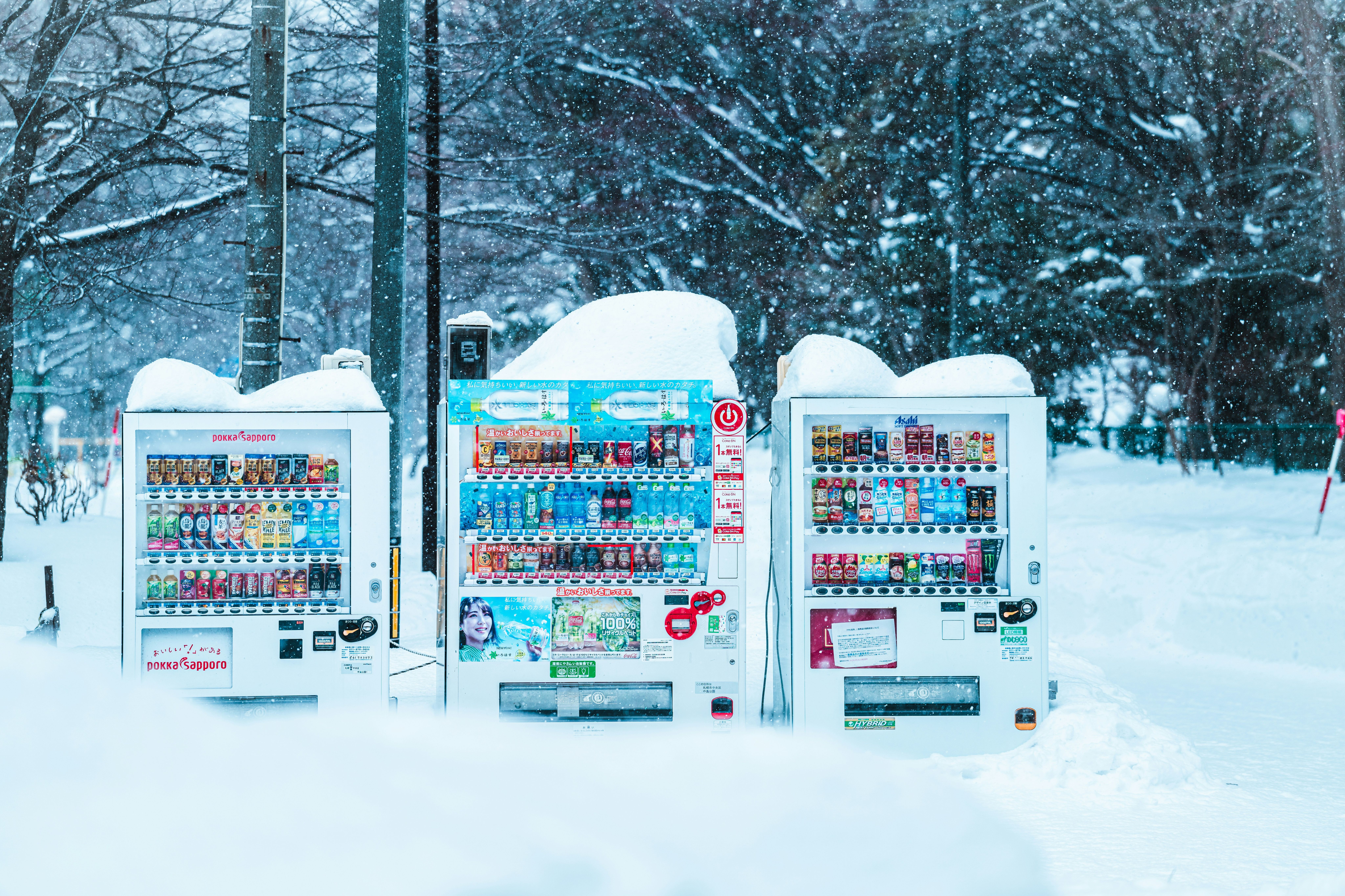 Kinh nghiệm du lịch Sapporo mùa đông: Khám phá vẻ đẹp tuyết trắng và ẩm thực độc đáo