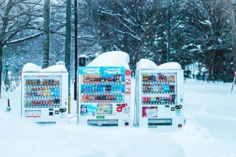 Kinh nghiệm du lịch Sapporo mùa đông: Khám phá vẻ đẹp tuyết trắng và ẩm thực độc đáo