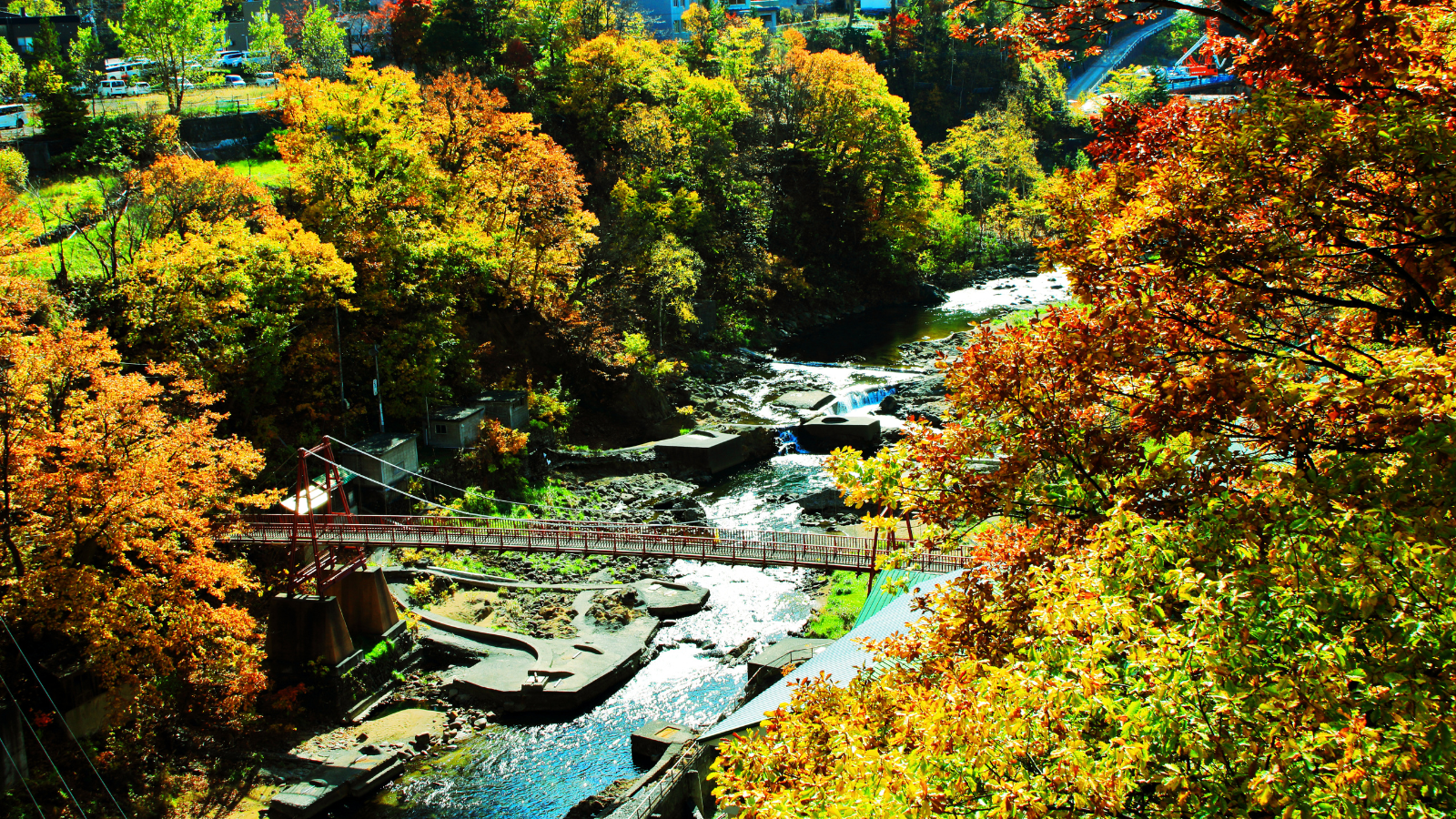 Khám Phá Địa Điểm Du Lịch Hokkaido Mùa Thu Đẹp Nhất: Hành Trình 7 Ngày 6 Đêm