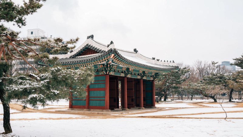 Kinh nghiệm du lịch Seoul mùa đông: Hành trình khám phá sắc màu lạnh giá và ấm áp