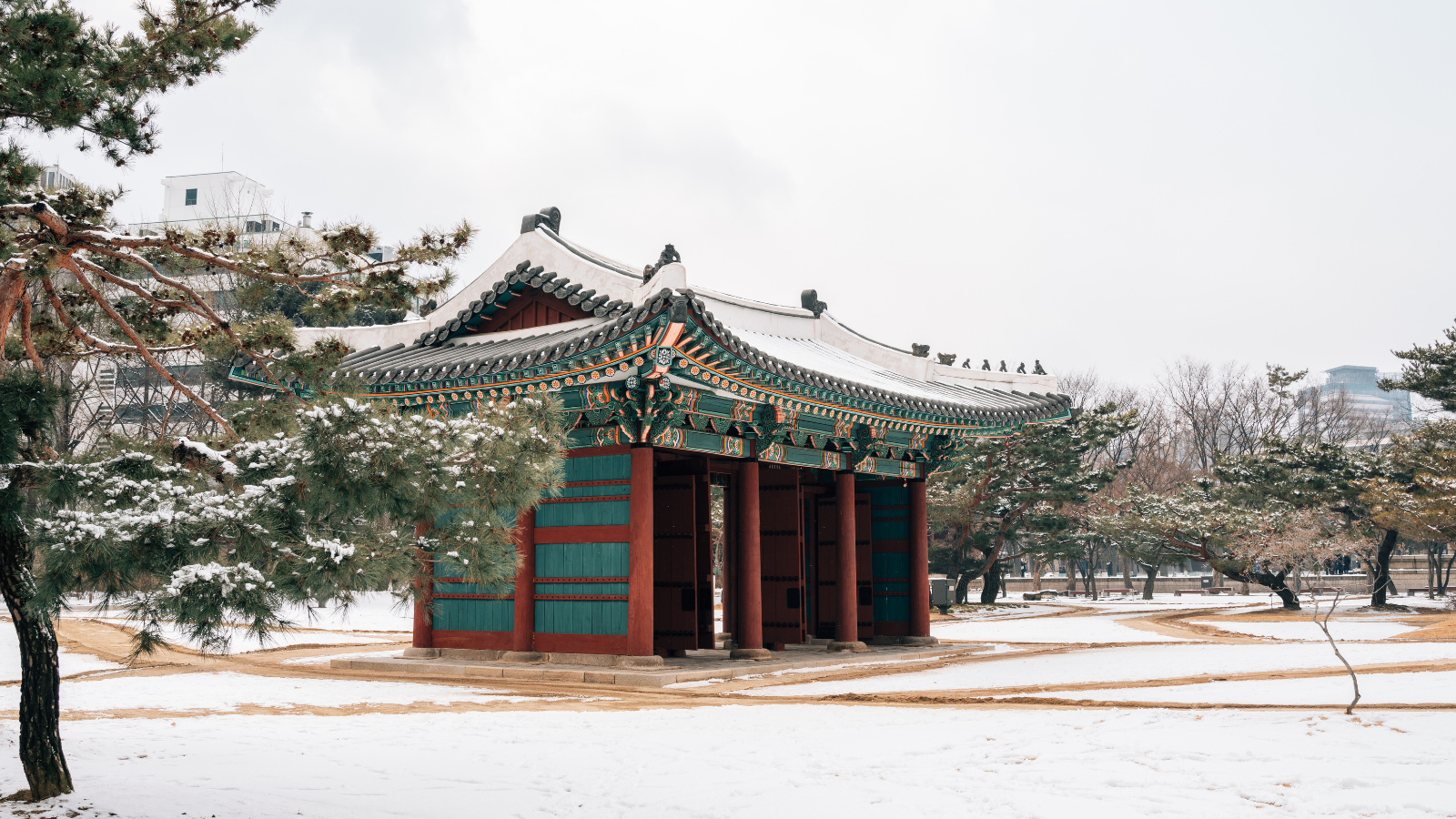 Kinh nghiệm du lịch Seoul mùa đông: Hành trình khám phá sắc màu lạnh giá và ấm áp