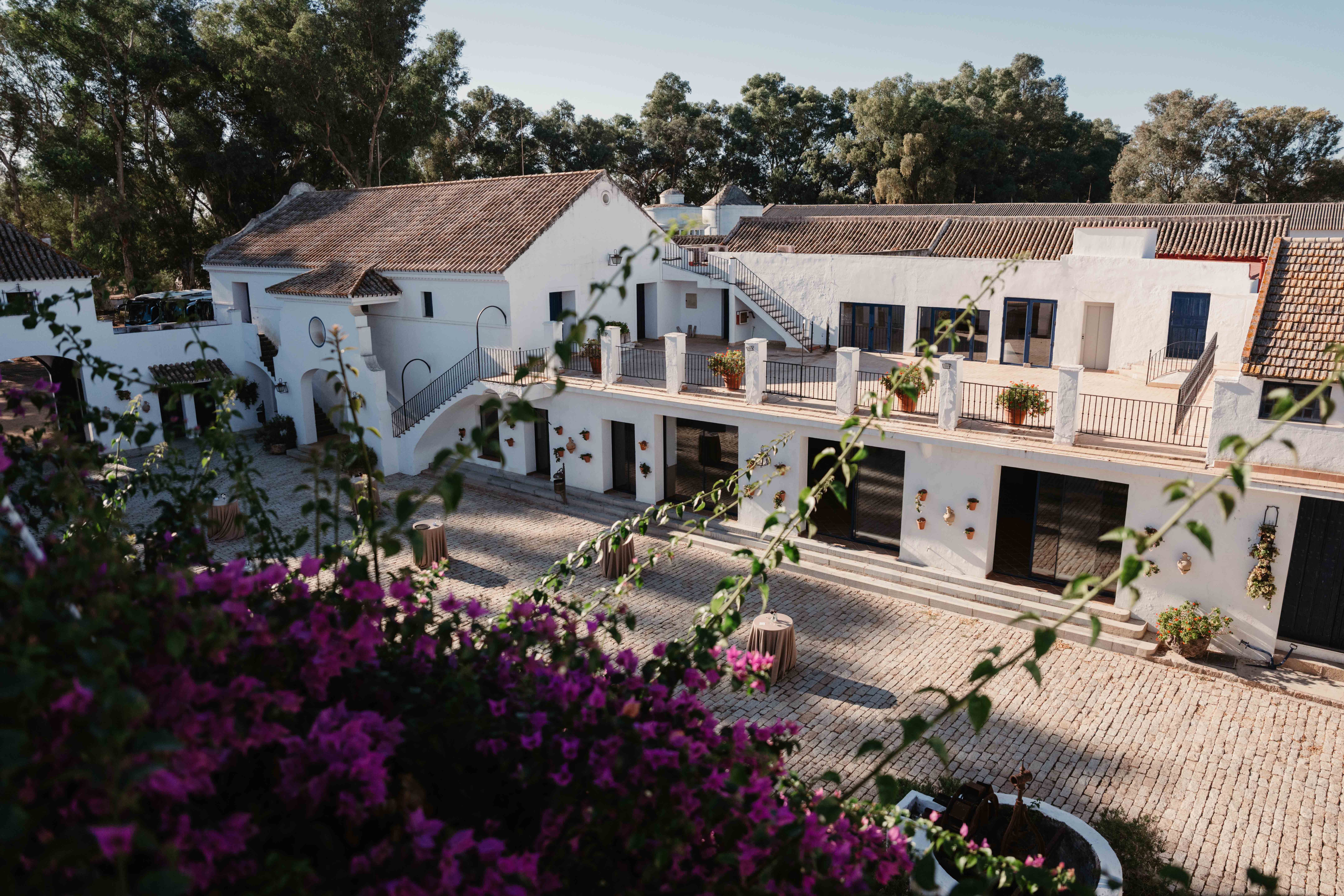 Business reis Sevilla