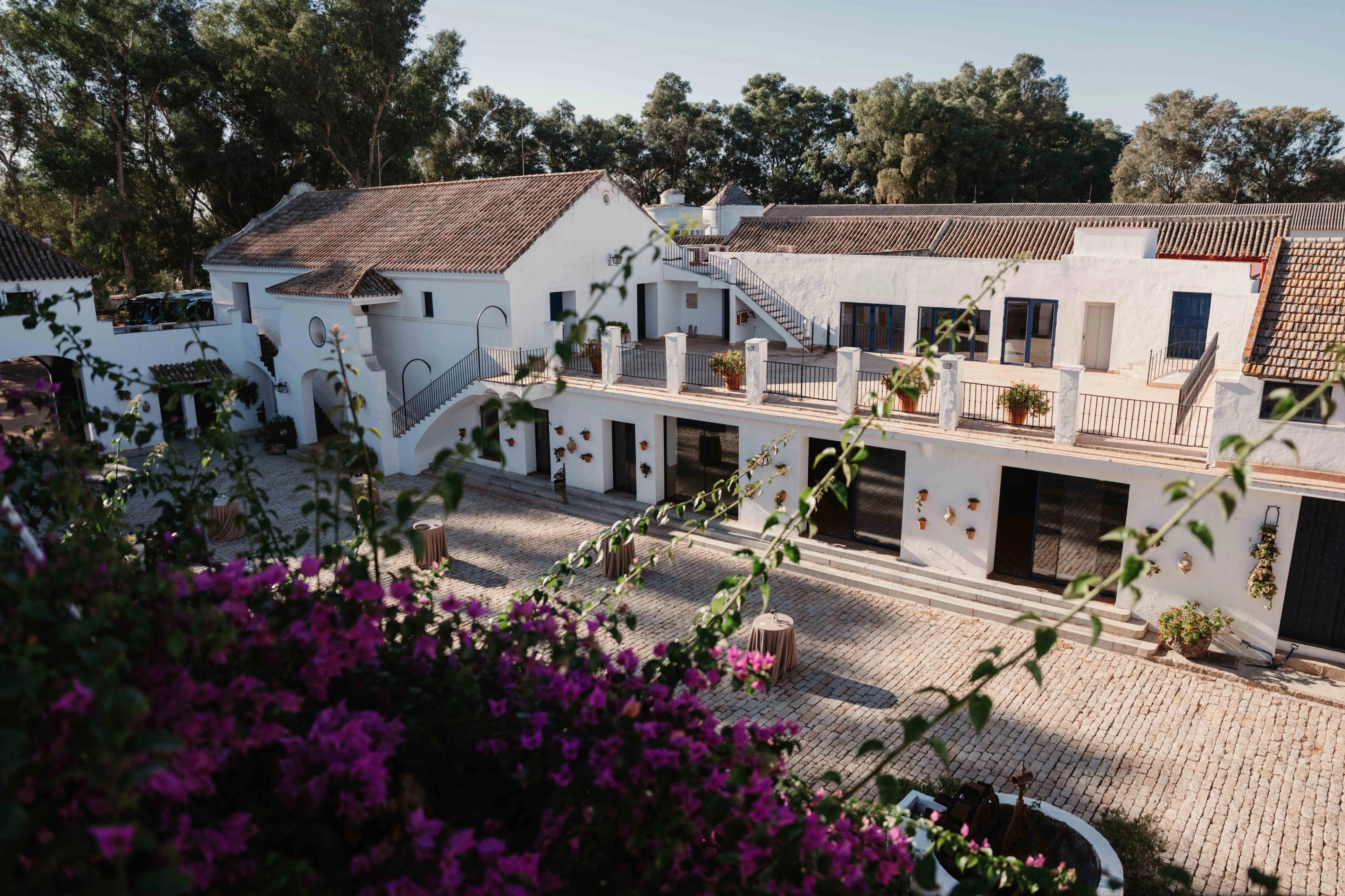 Business reis Sevilla