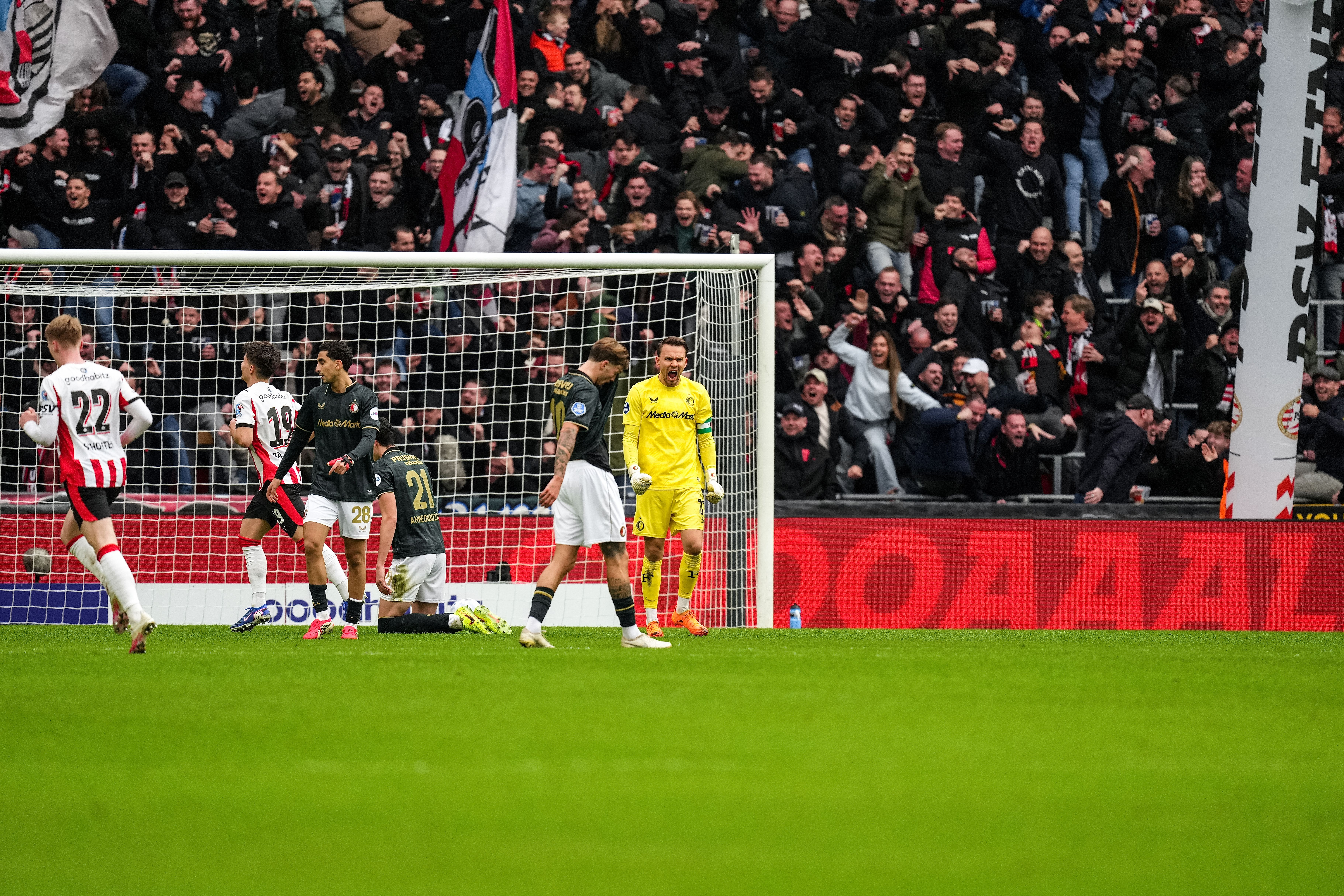 ft psvfey 010226 header