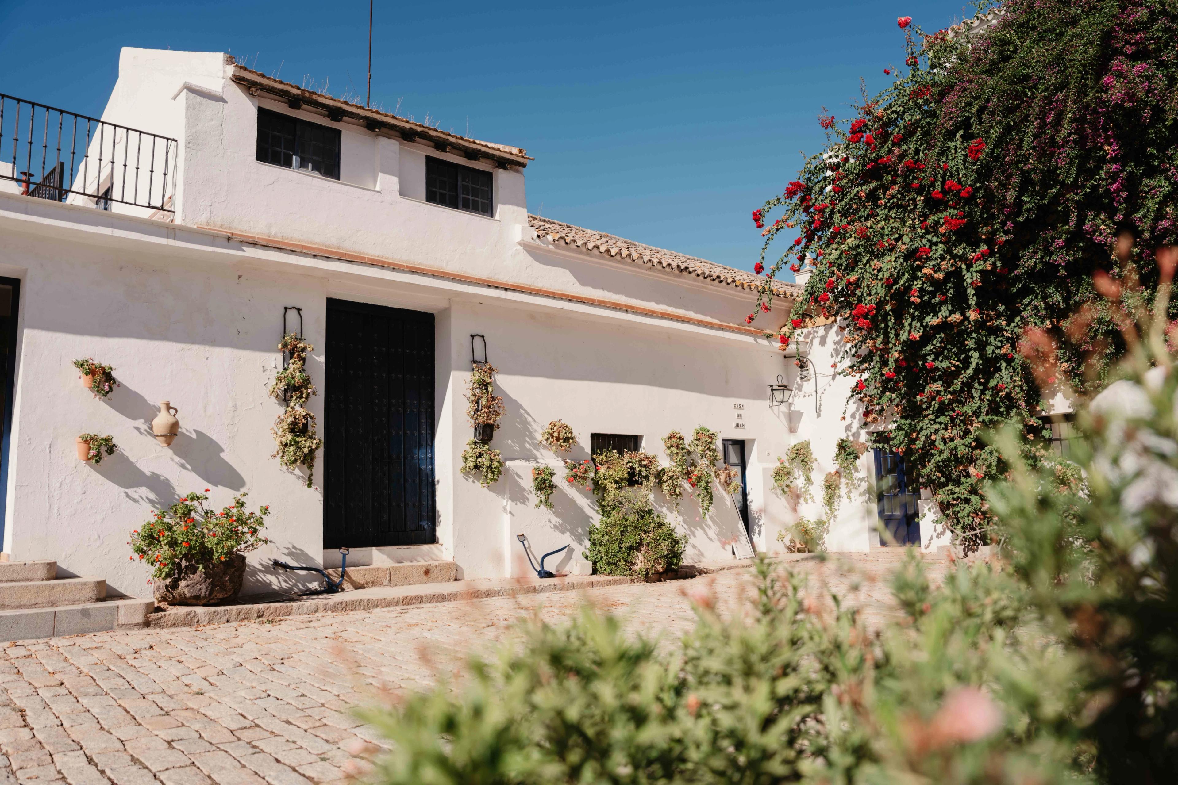 Business reis Sevilla