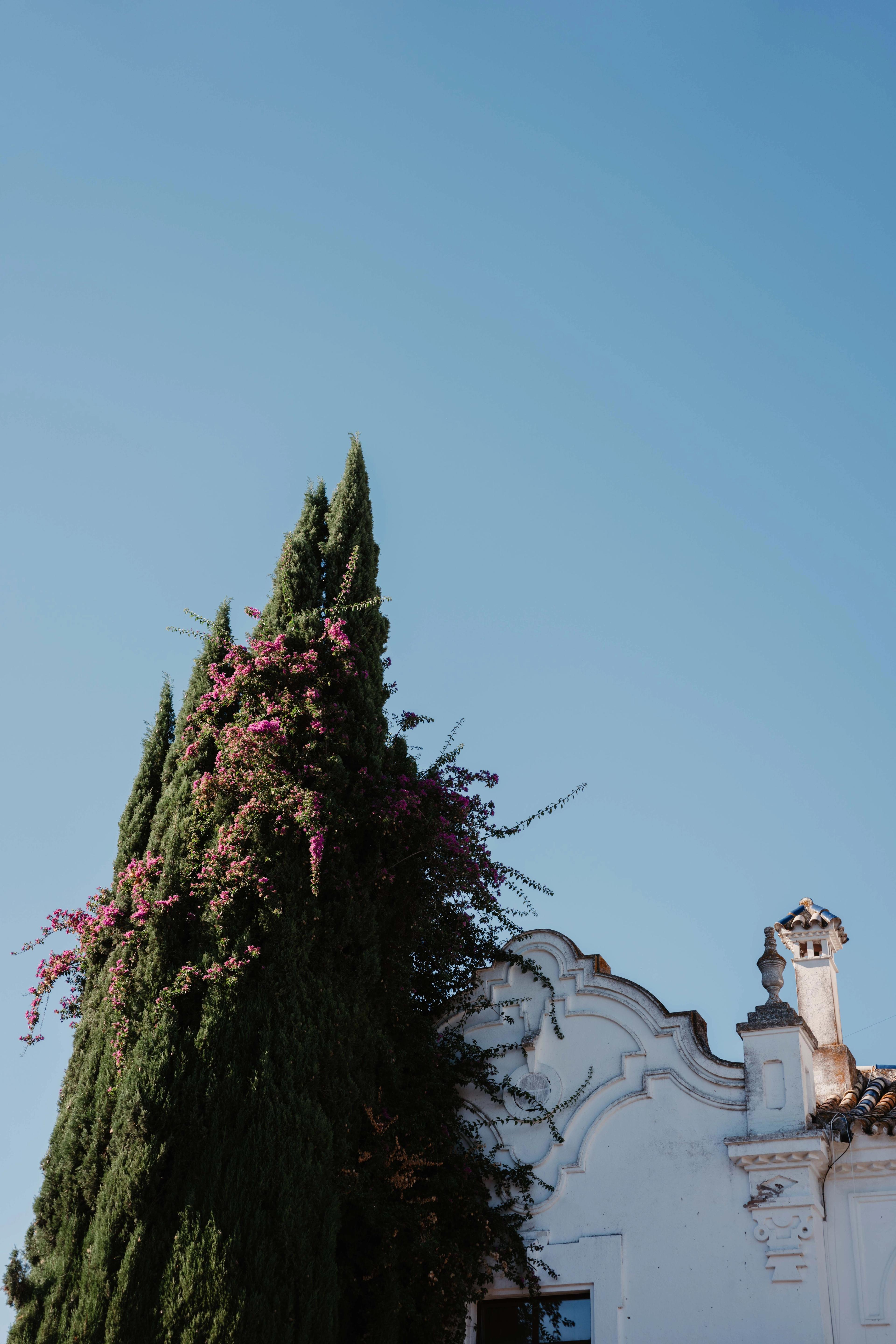 Business reis Sevilla