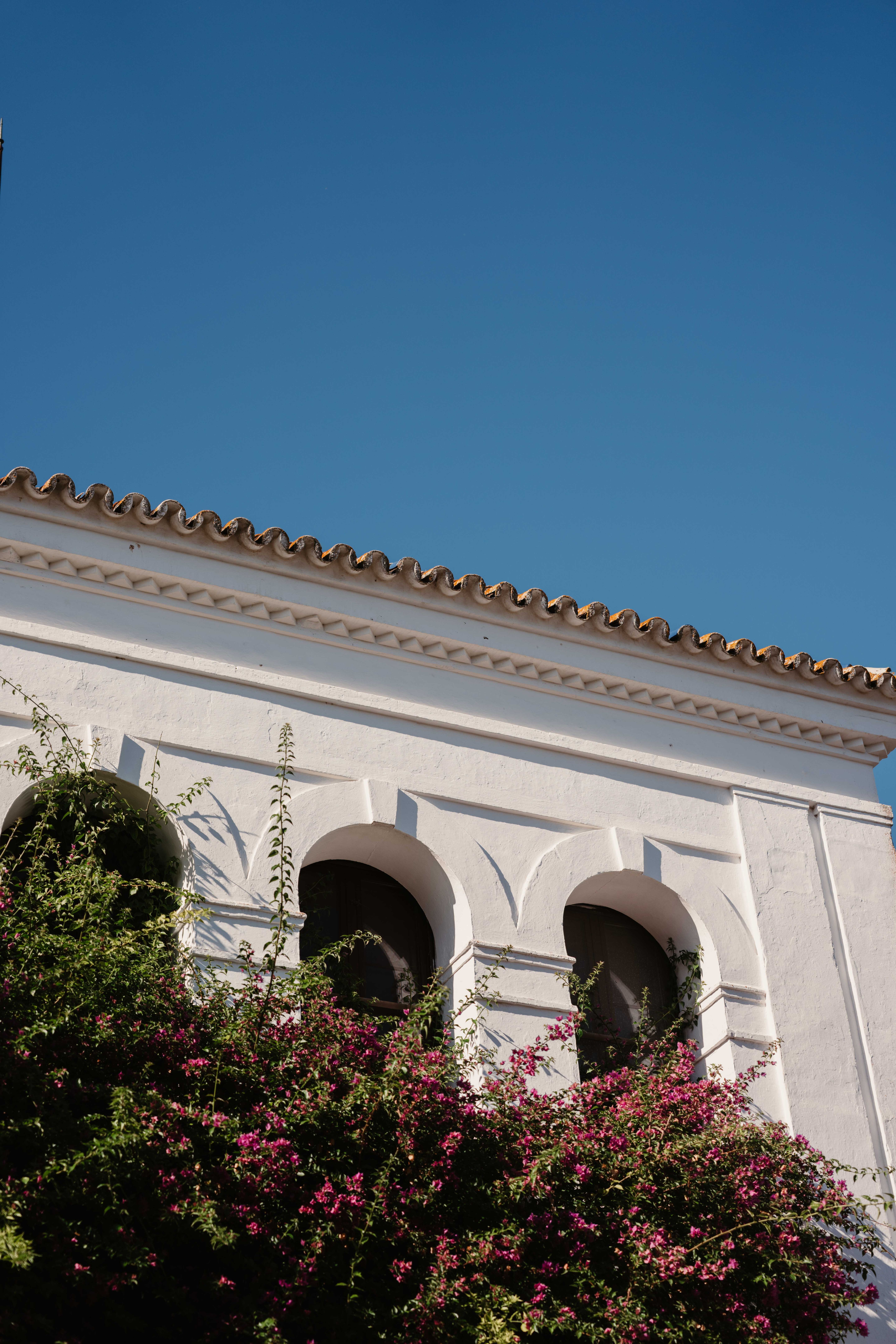 Business reis Sevilla