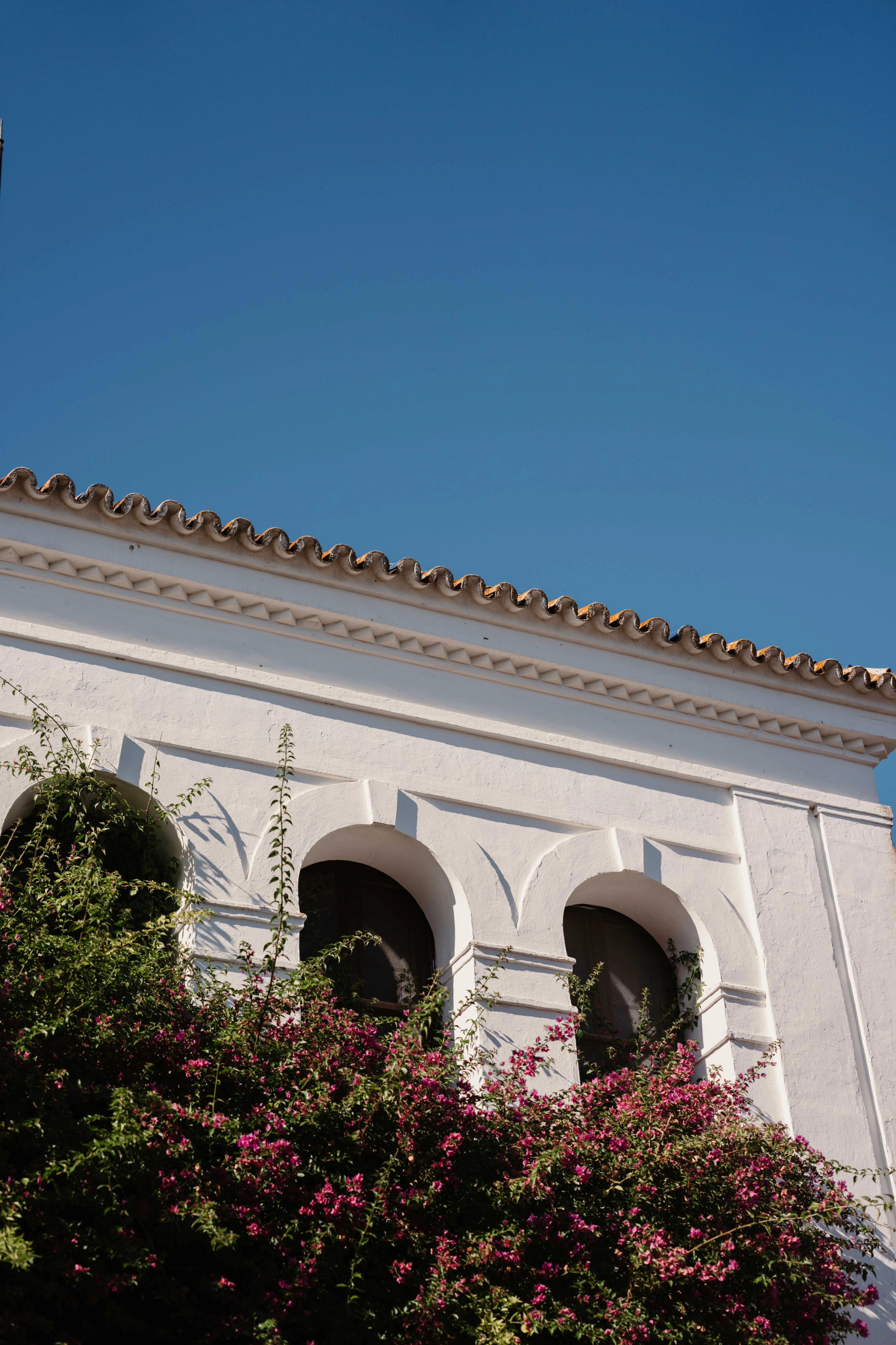 Business reis Sevilla