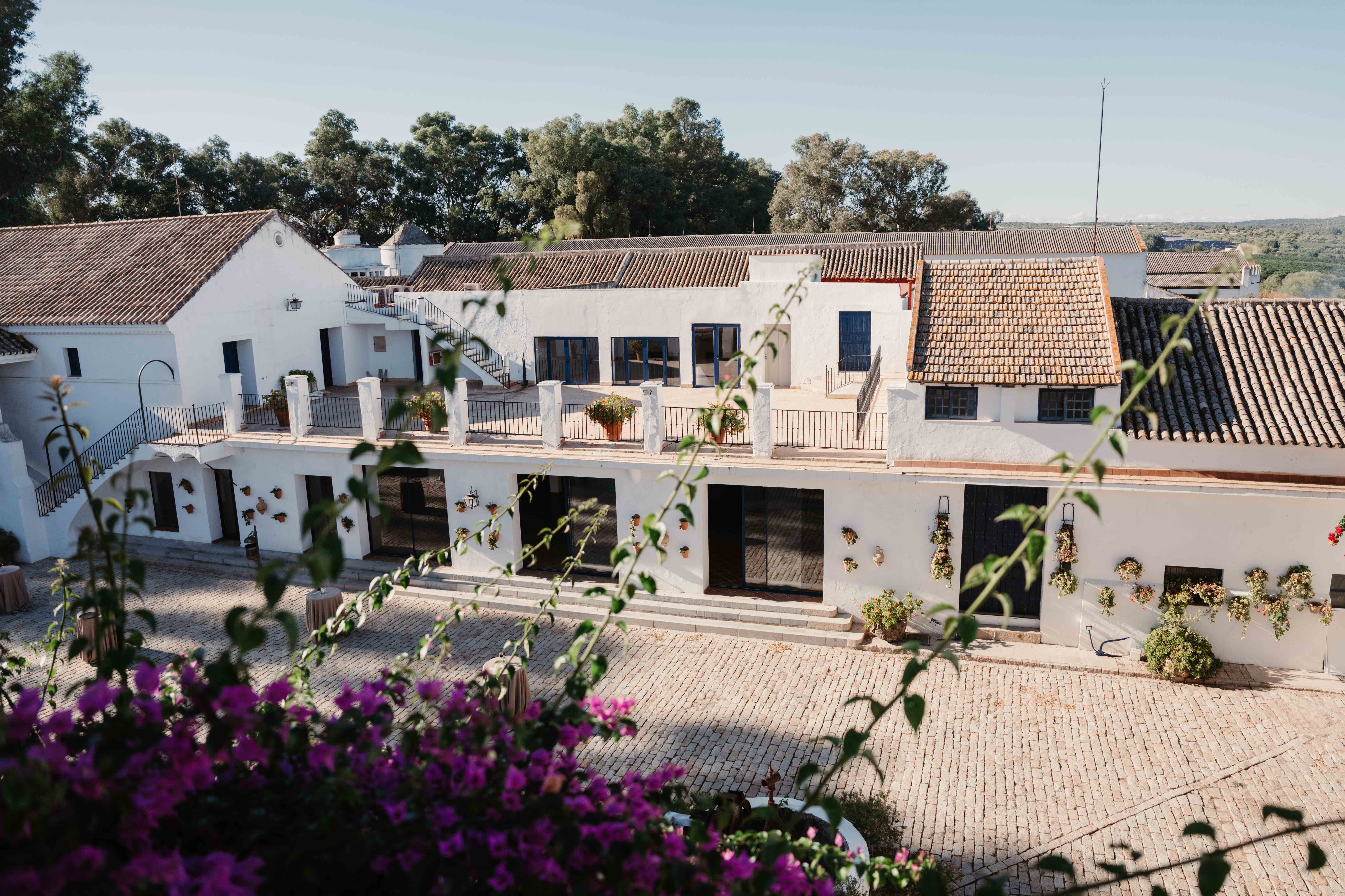 Business reis Sevilla