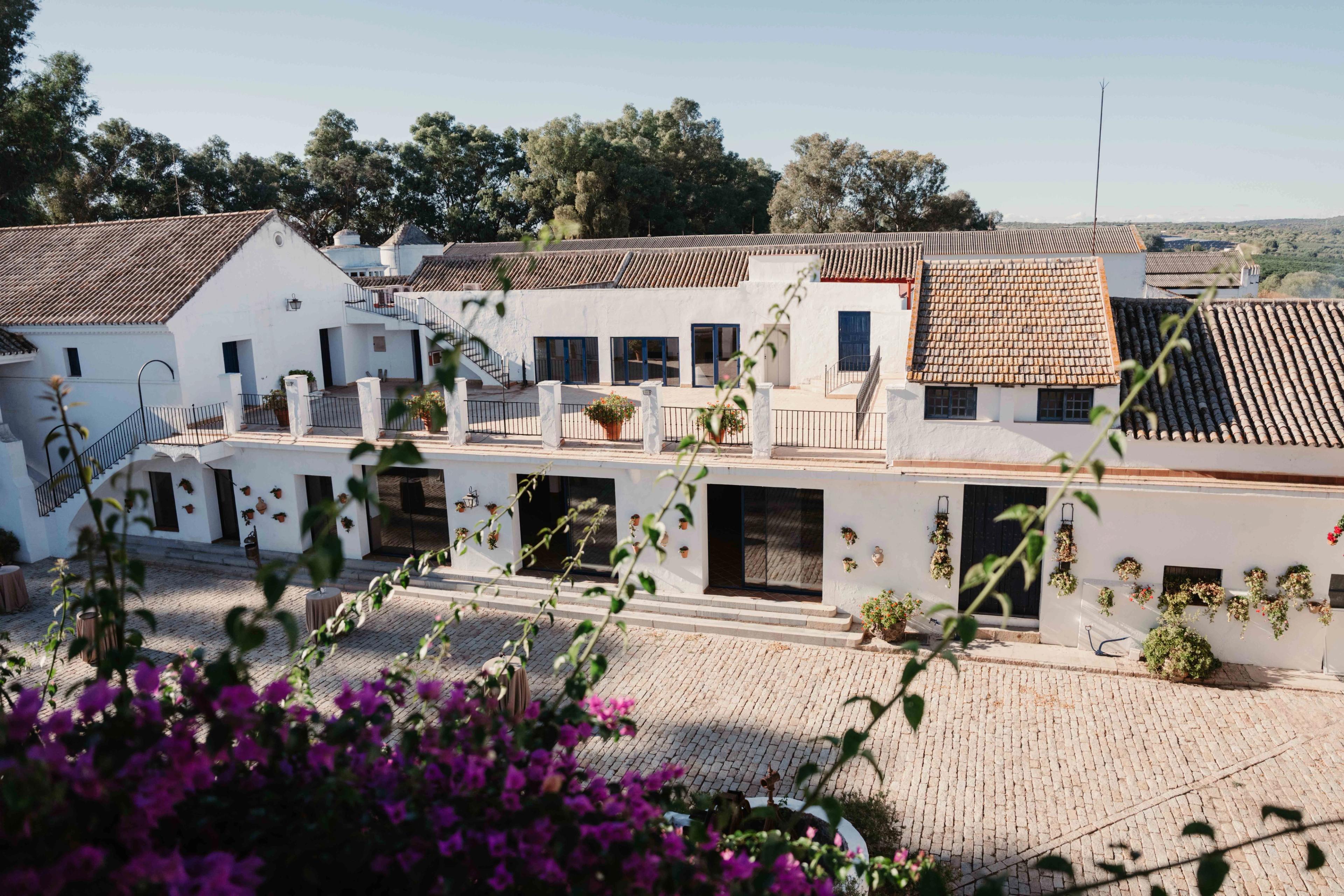 Business reis Sevilla