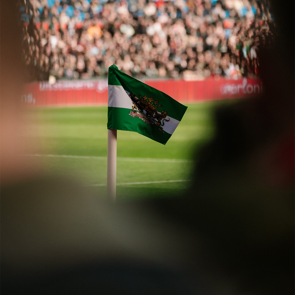 Vlag
