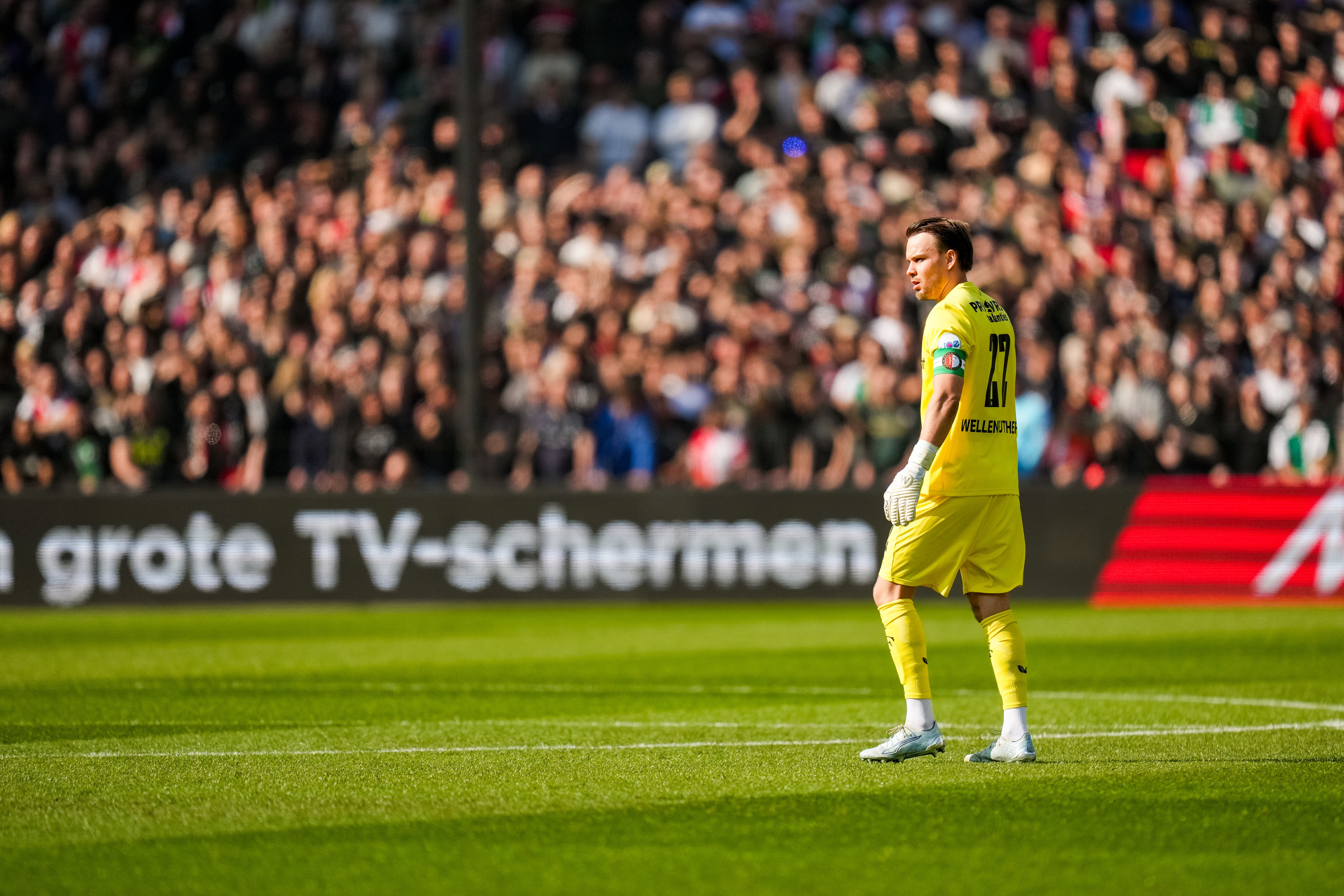 transfer timon 160726 header