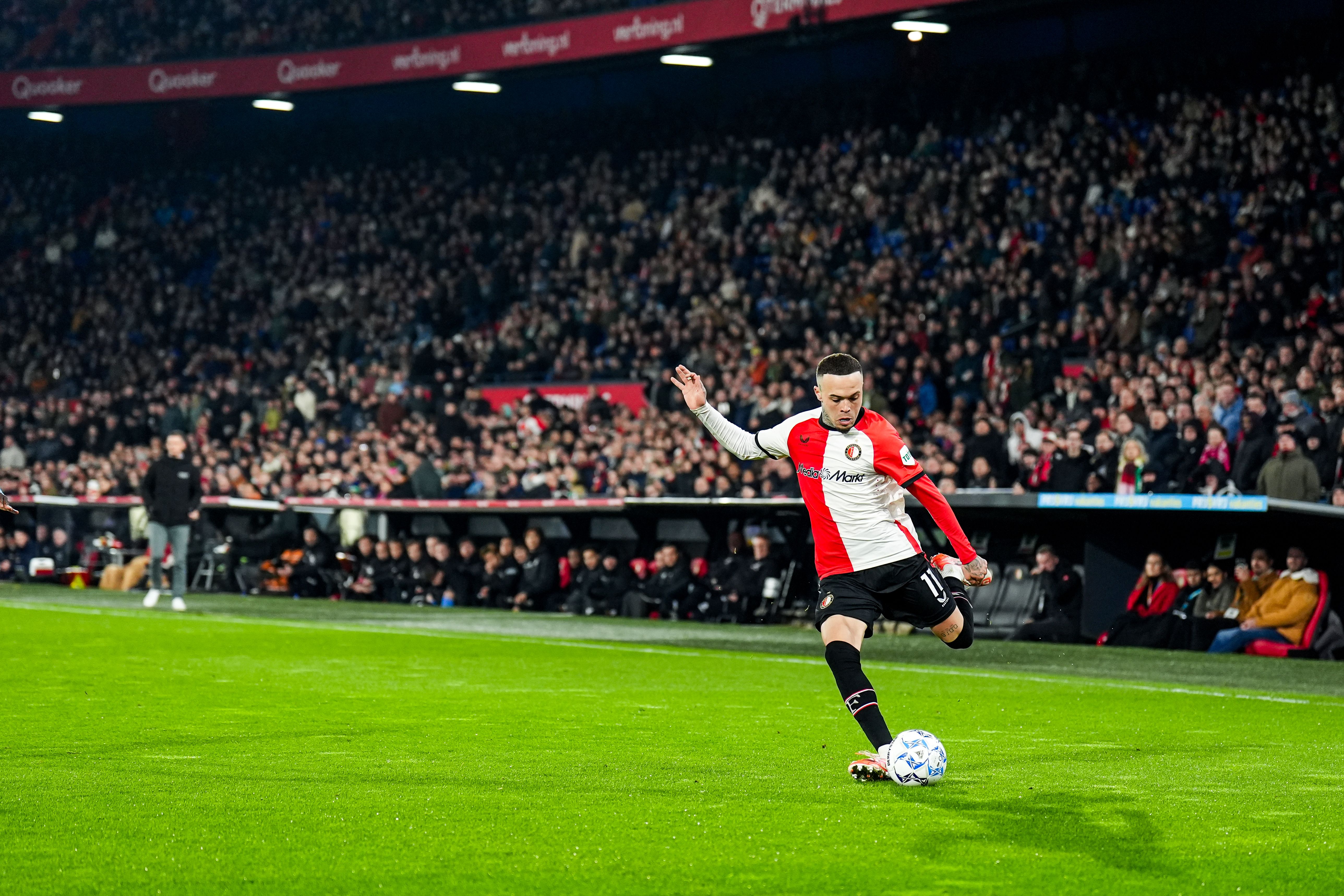 q transfer header 260625