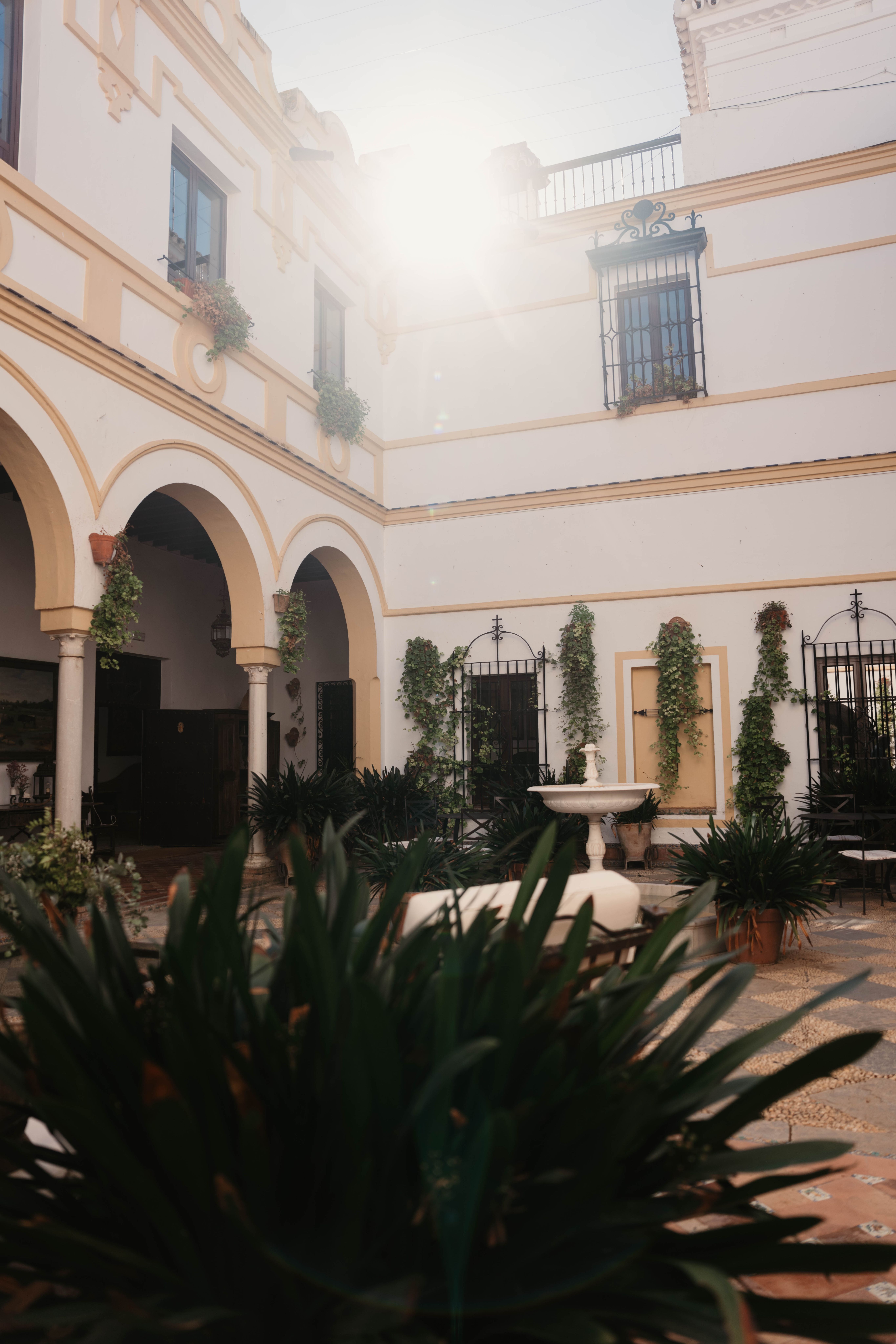 Business reis Sevilla