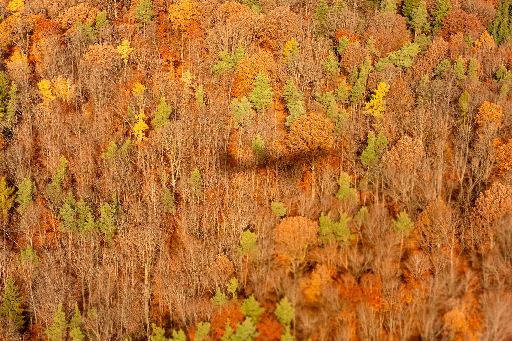 Business reis Stuttgart