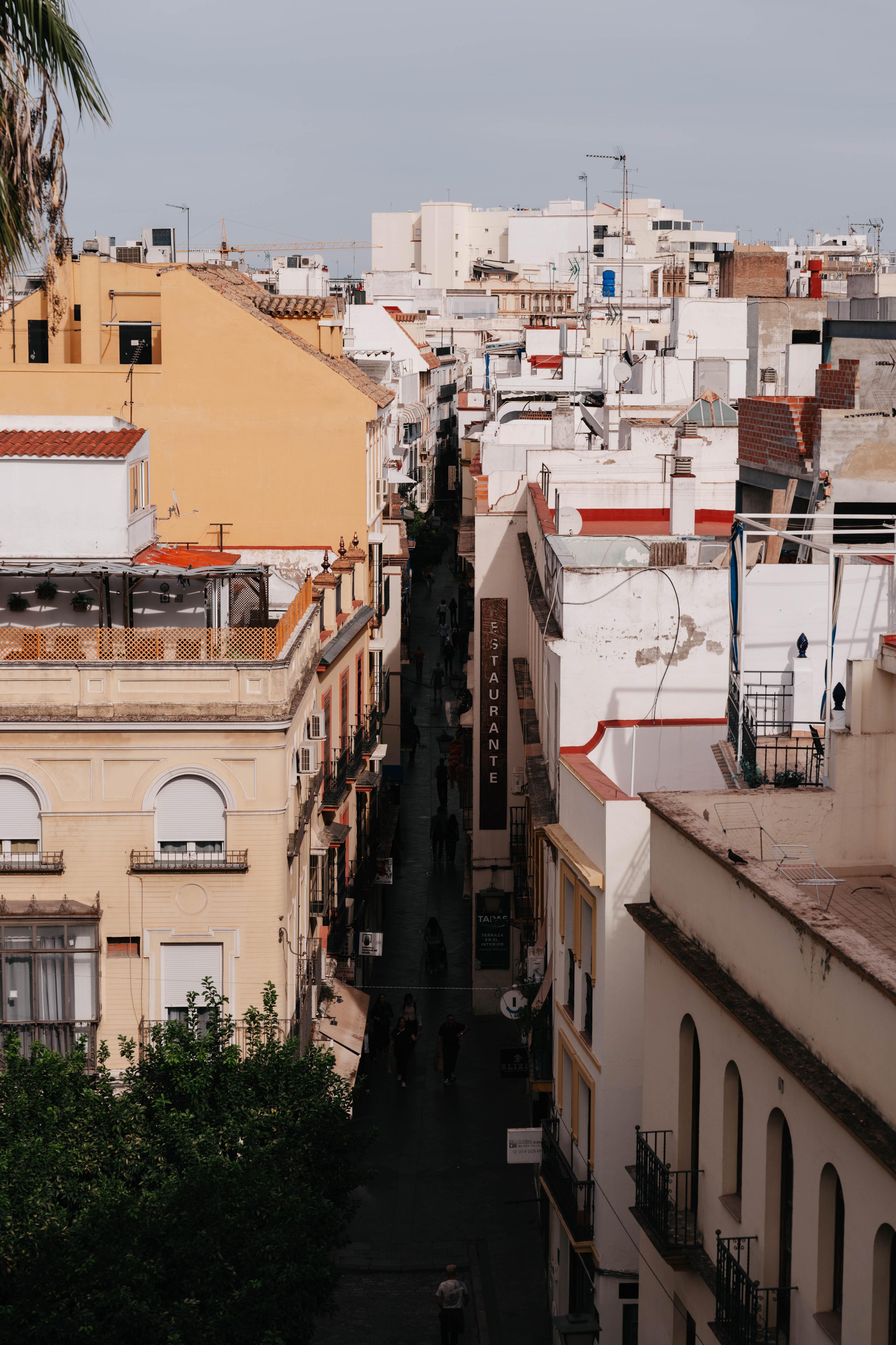 Business reis Sevilla
