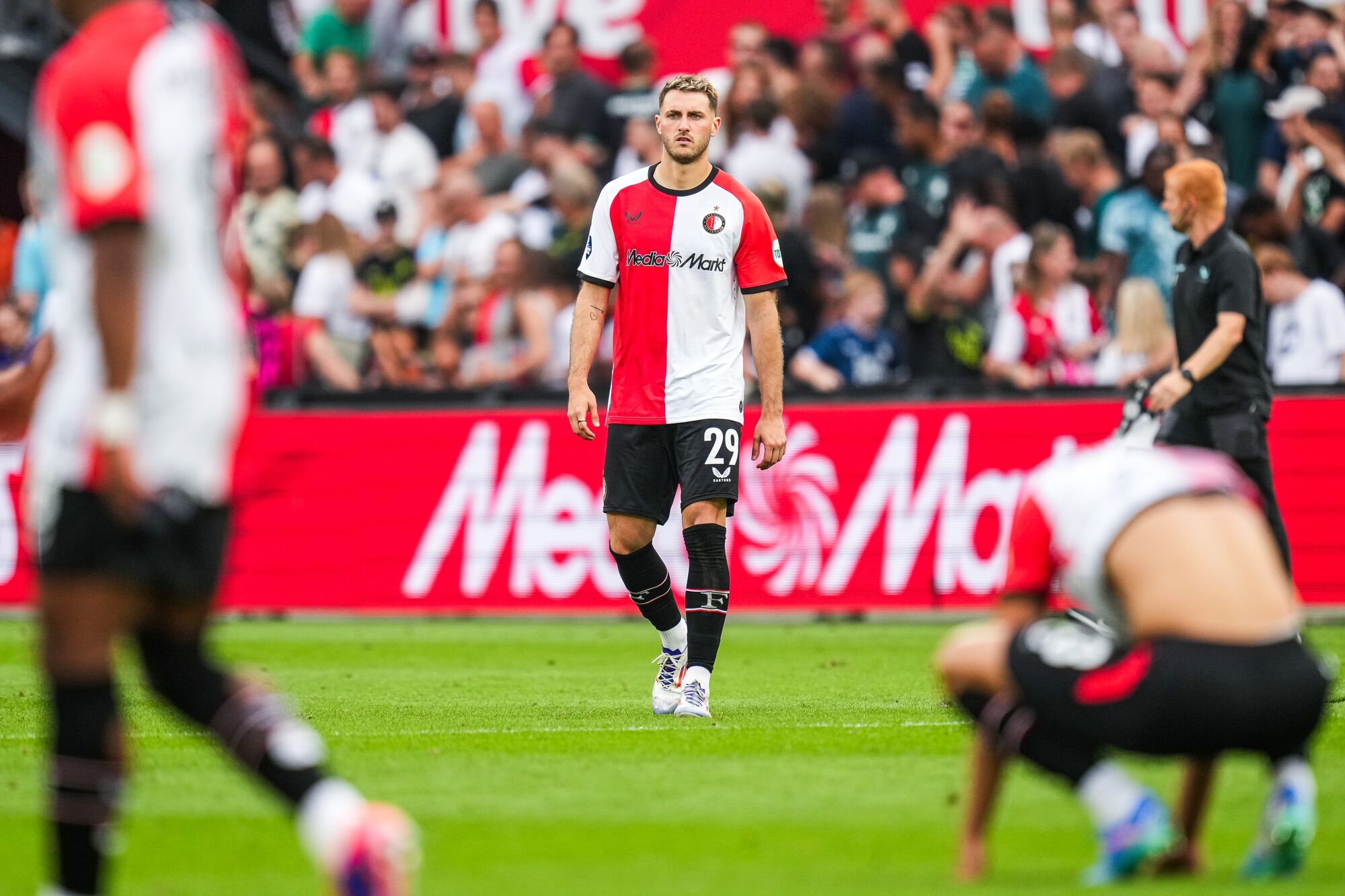 feywil header 100824