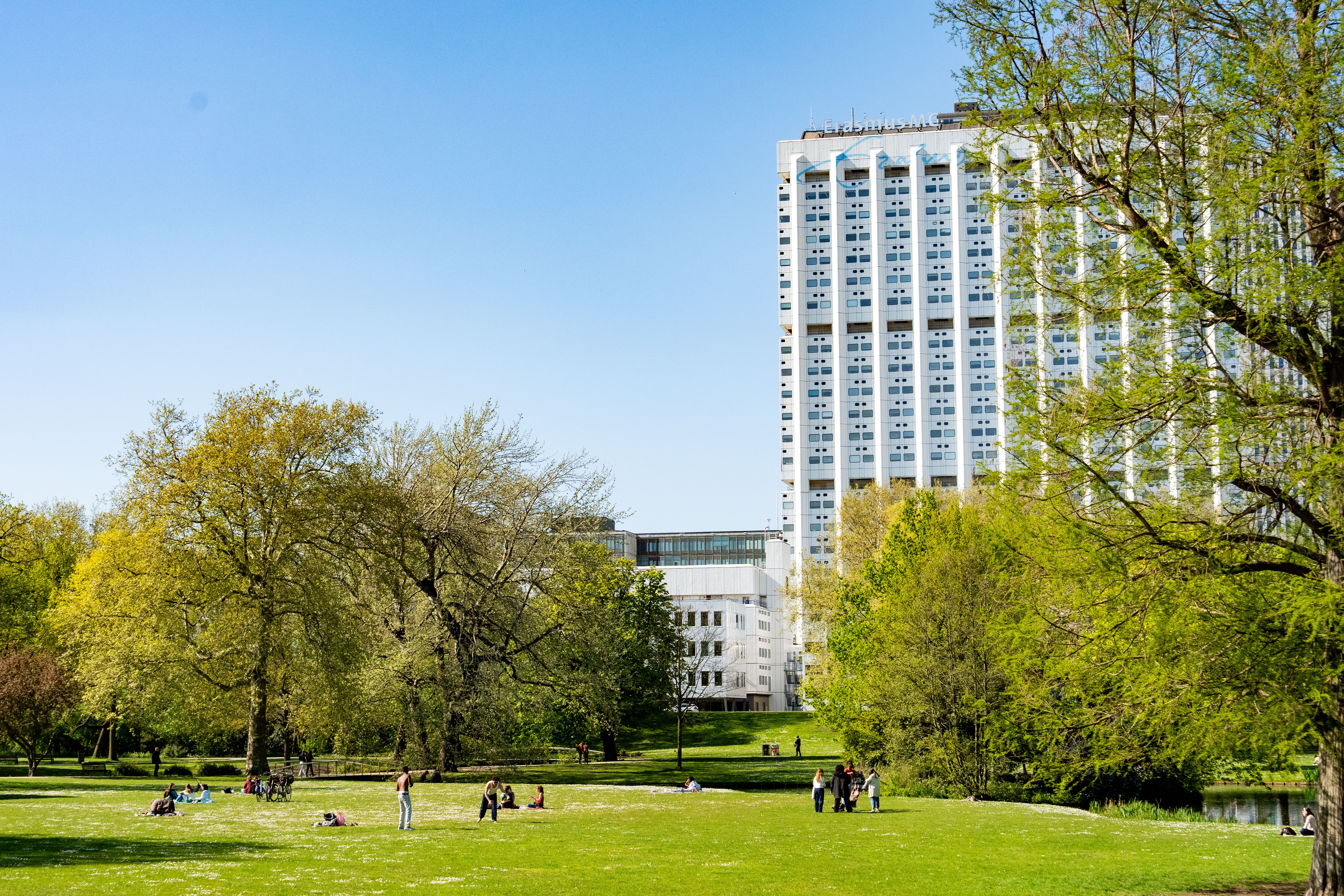 FBC Tuktuk challenge