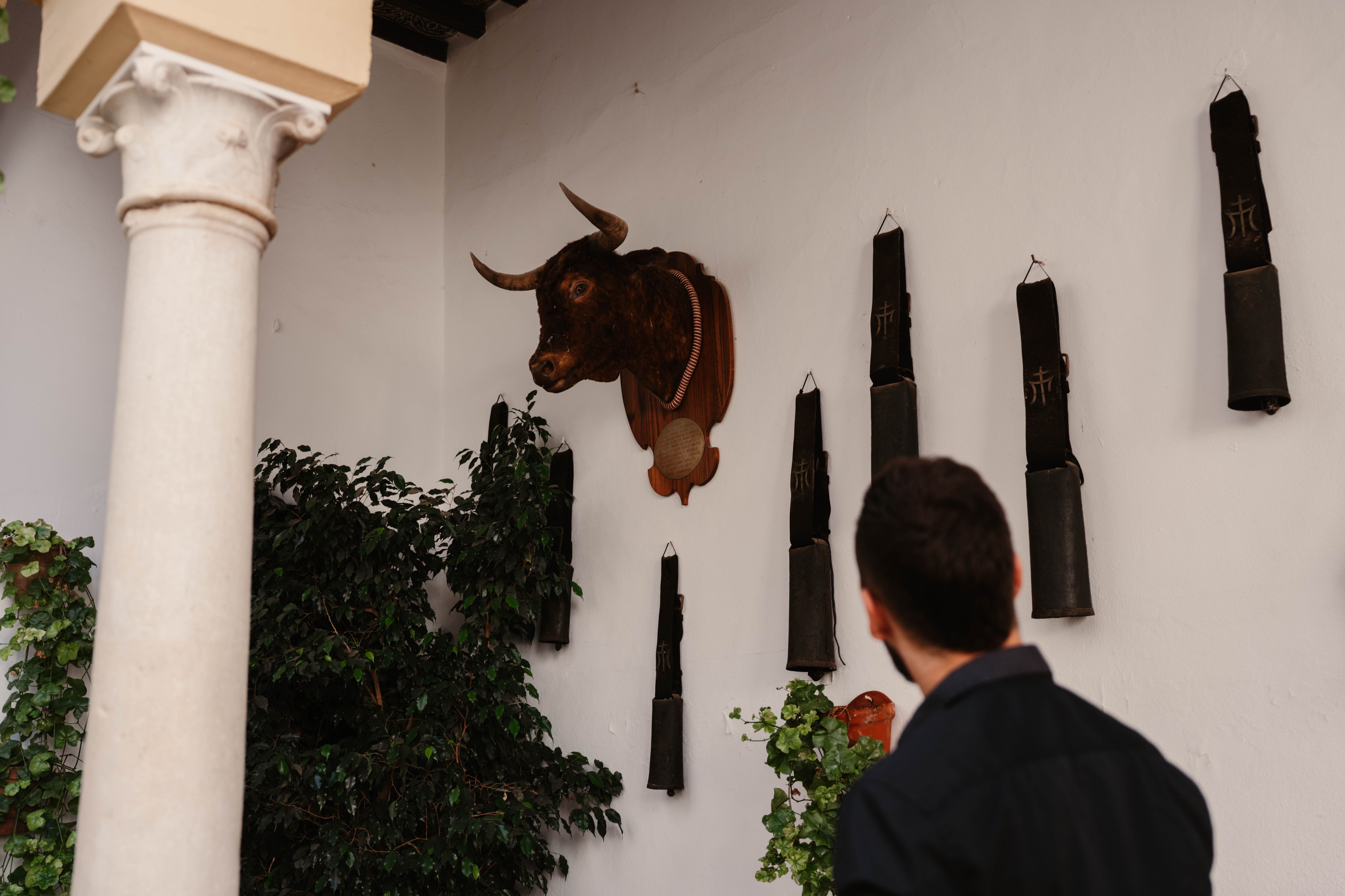 Business reis Sevilla