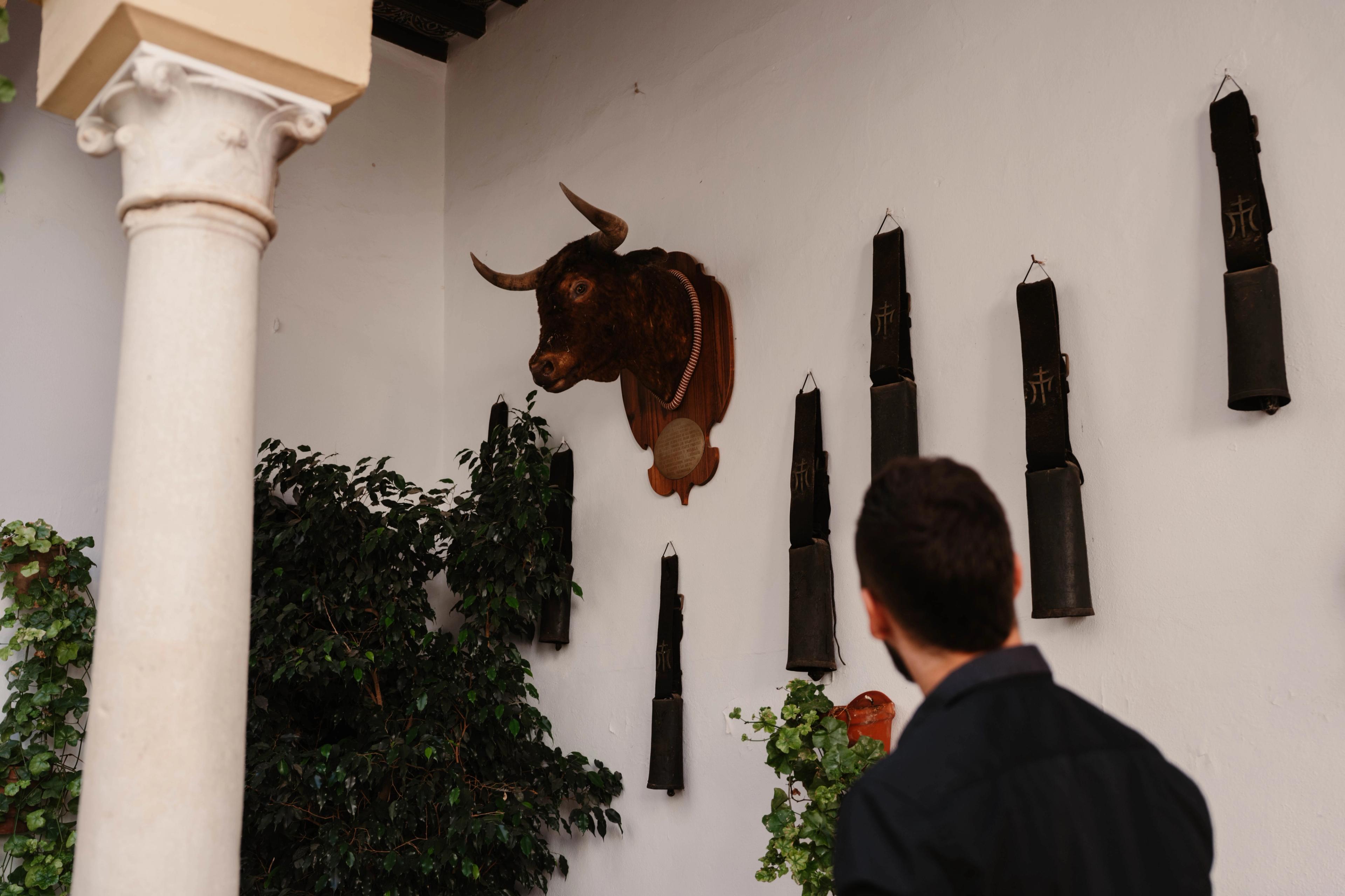 Business reis Sevilla