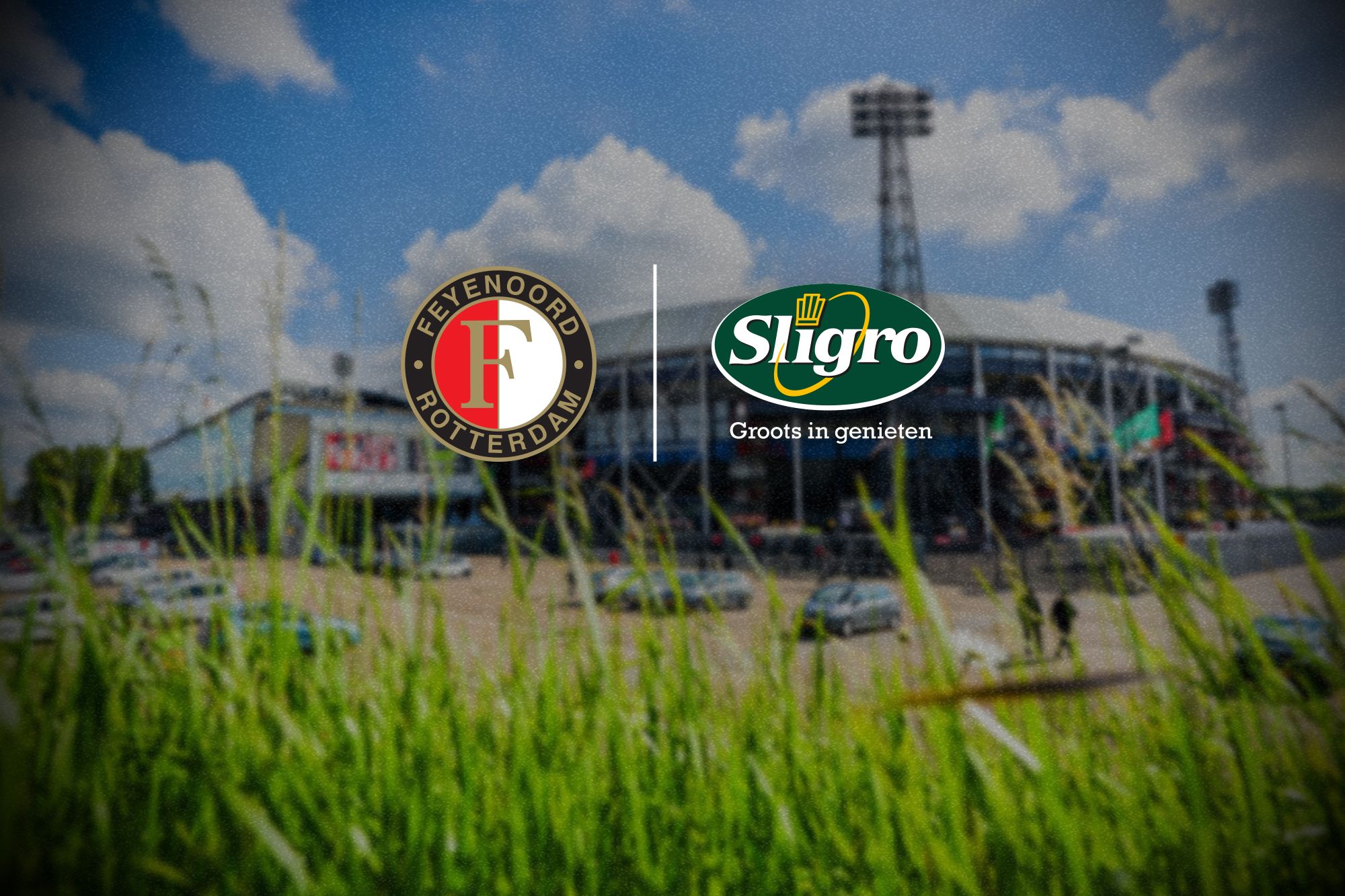 feysligro header 110724