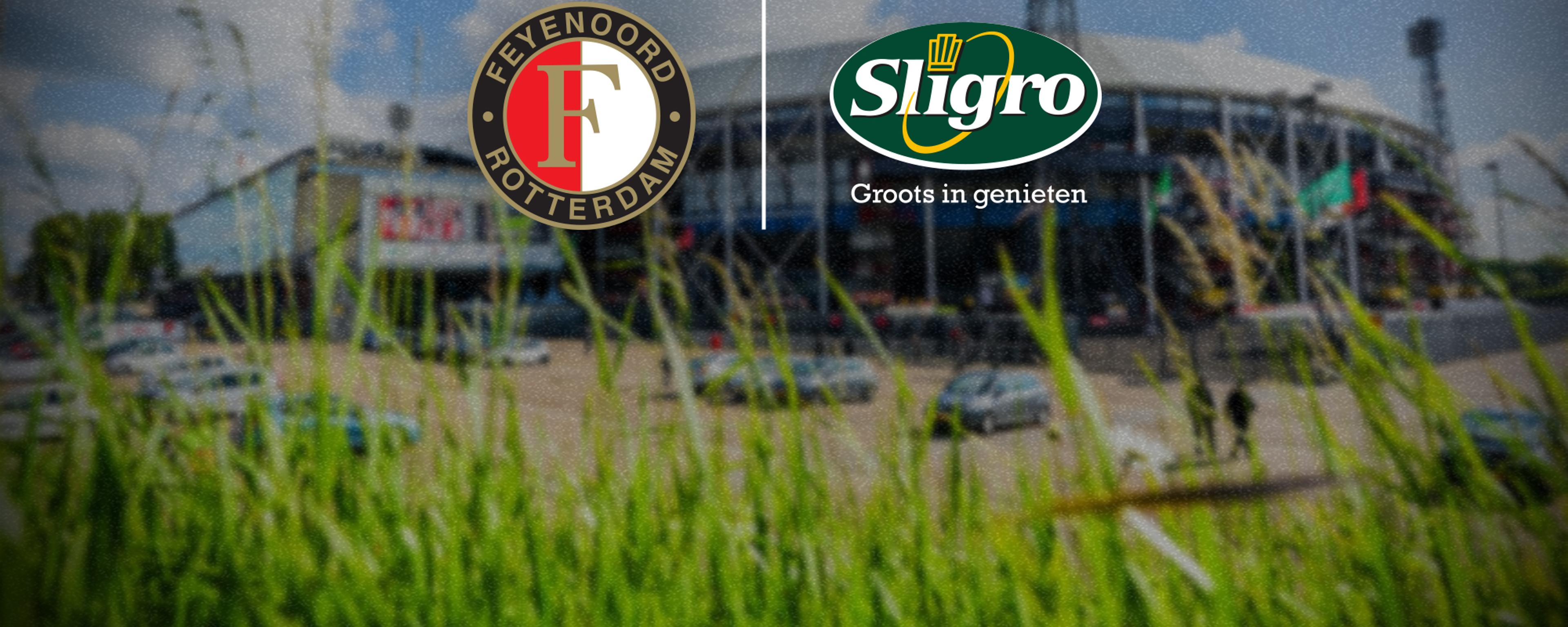 feysligro header 110724