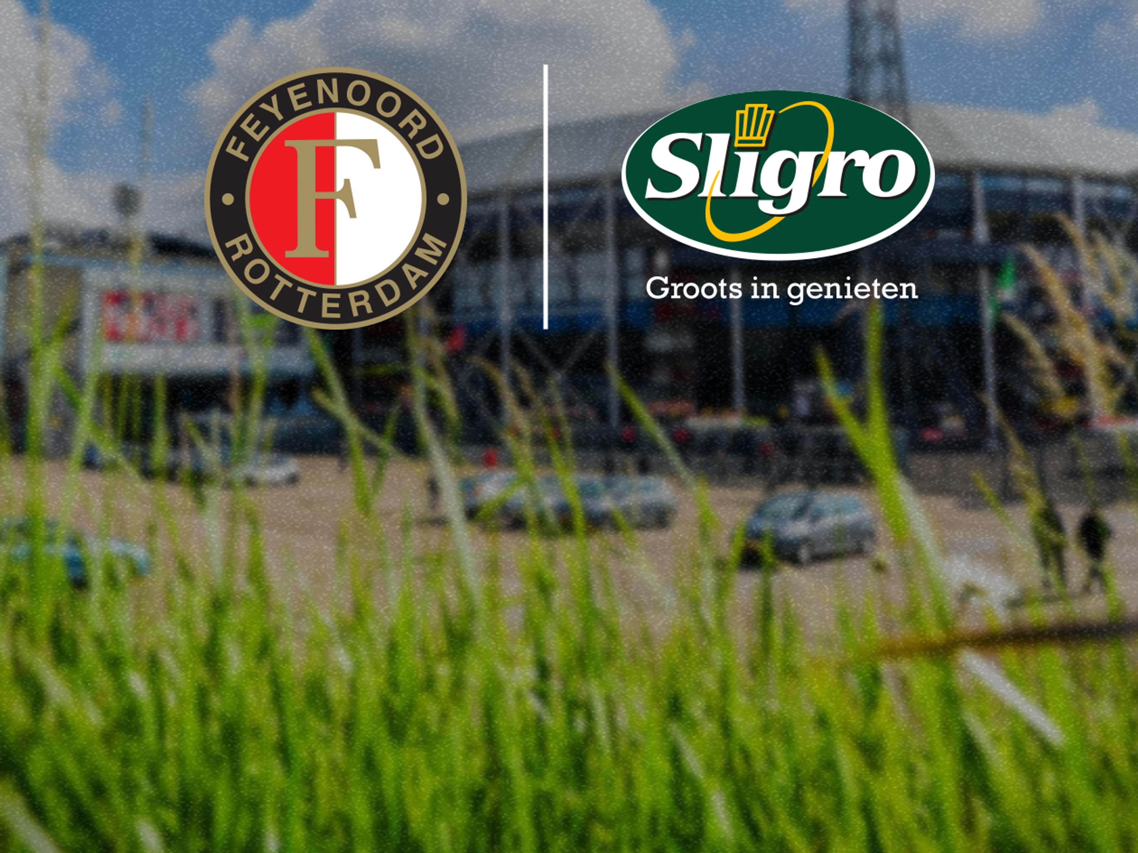 feysligro header 110724