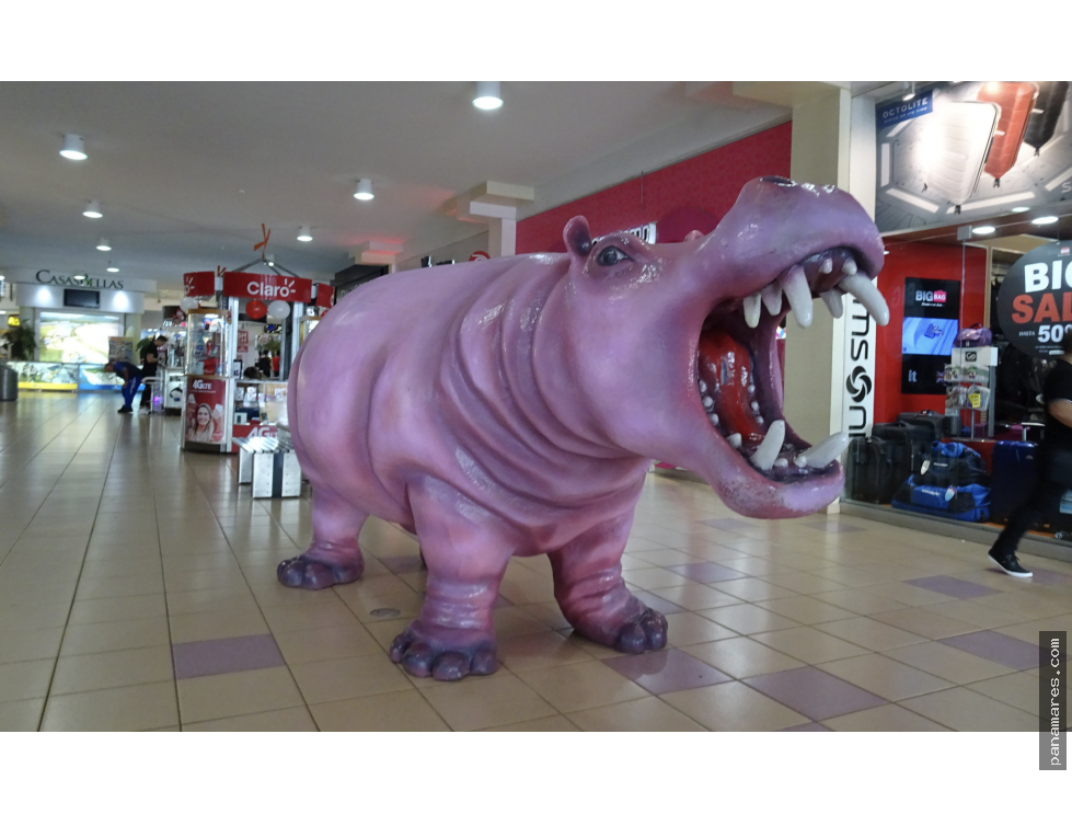 Ganga! Local En Albrook Mall – Pasillo Del Hipopótamo — Local en Venta
