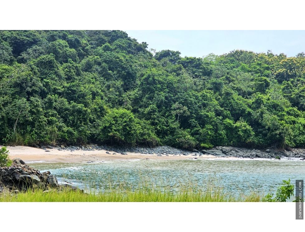 Veracruz - Gran Terreno Frente Al Mar - Bique — Casa de Playa en Venta