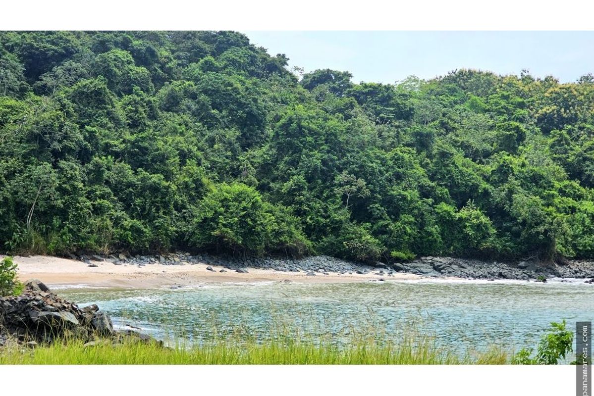 Veracruz - Gran Terreno Frente Al Mar - Bique — Casa de Playa en Venta
