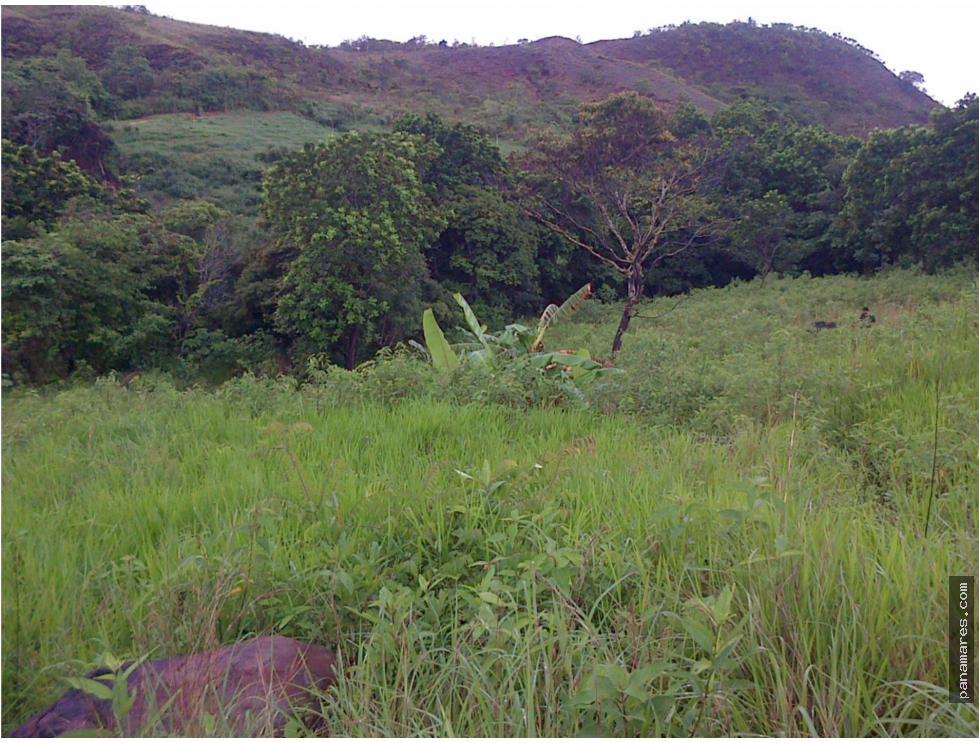 1 Hectárea, En Valle De Antón — Finca en Venta