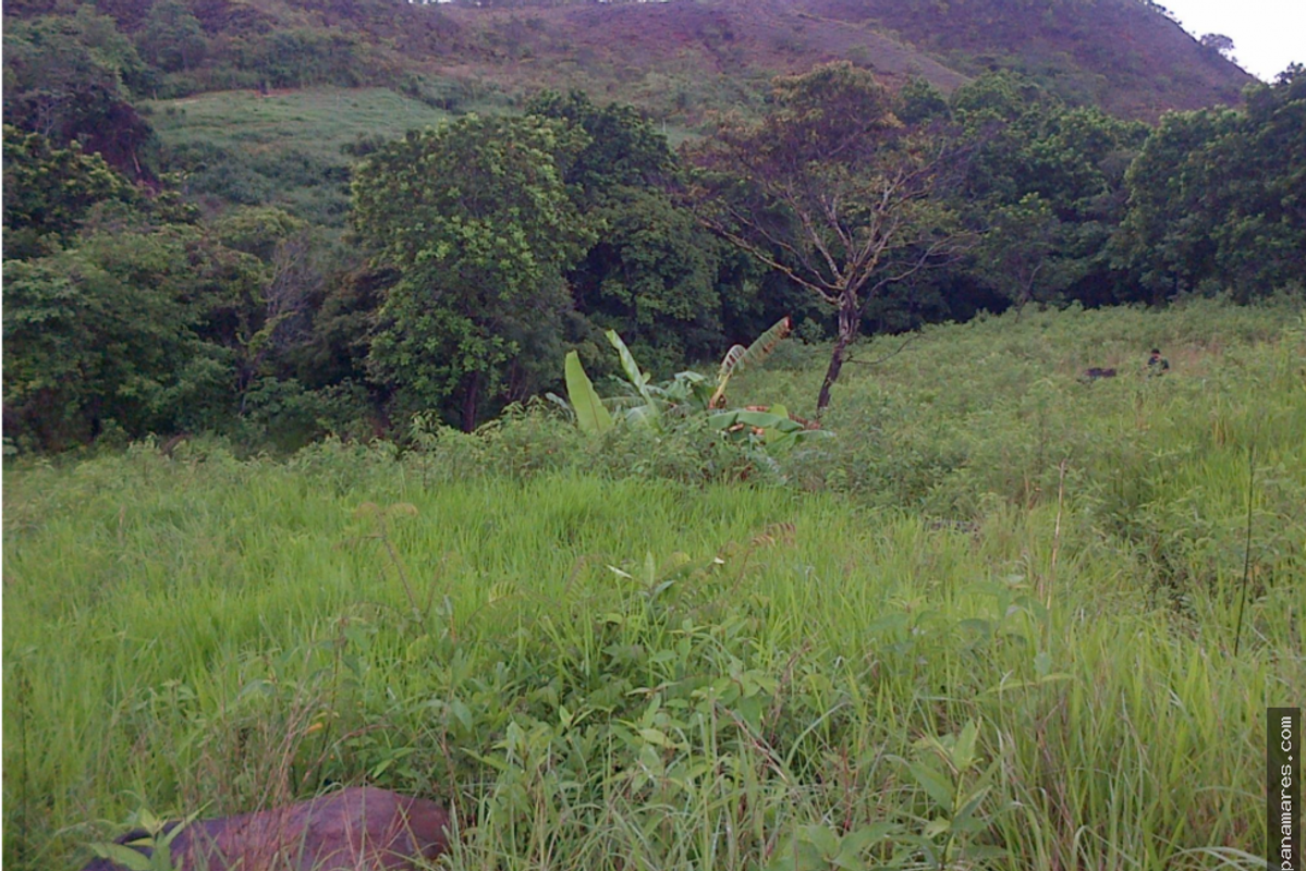 1 Hectárea, En Valle De Antón — Finca en Venta