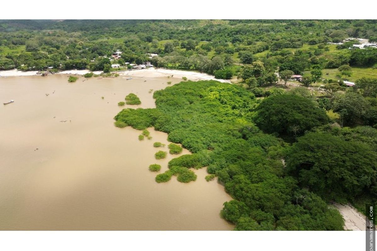 Veracruz - Gran Terreno Frente Al Mar - Bique — Casa de Playa en Venta