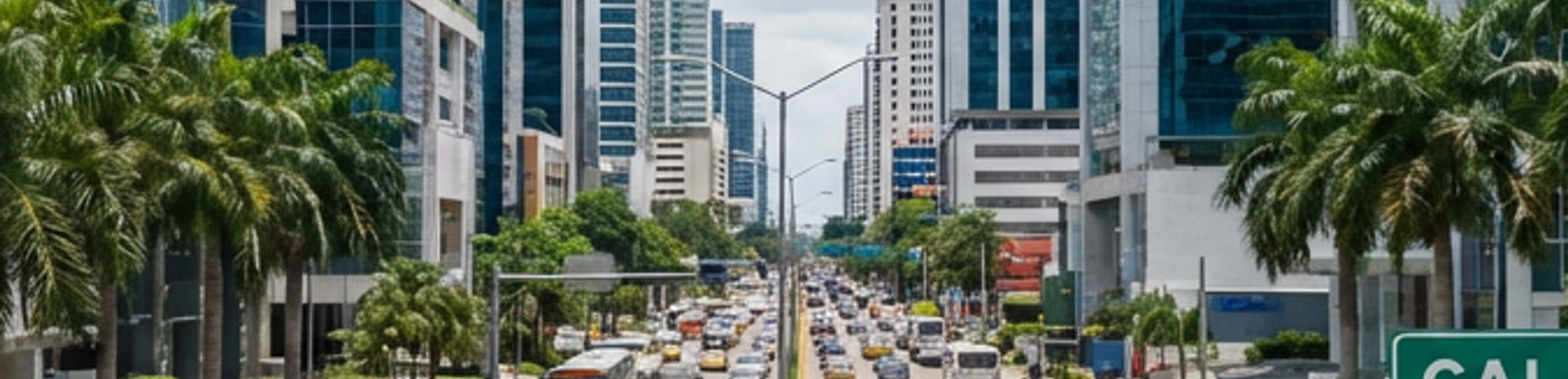 Properties in Calle 50