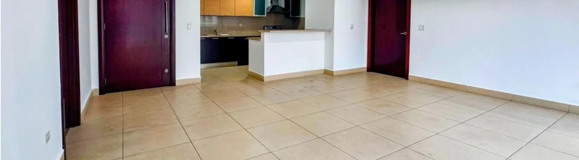 PH Dupont - Punta Pacifica - Modelo 04 Linea Blanca — Apartamento en Venta