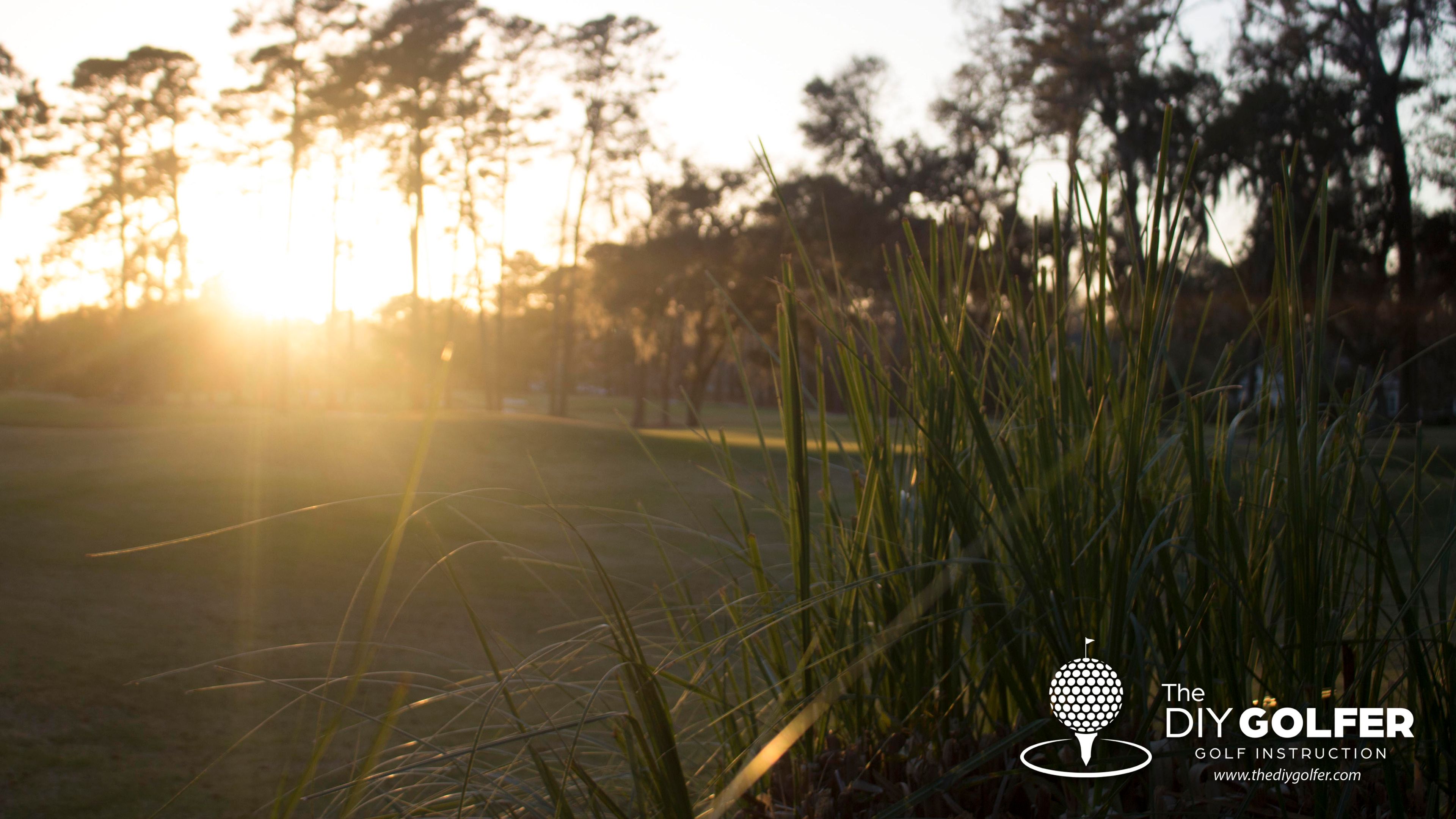 Golf Course Photo: Reeds at Sunset 1