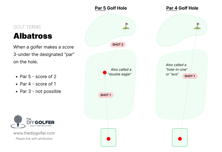 Golf Terms: What is an Albatross in Golf?
