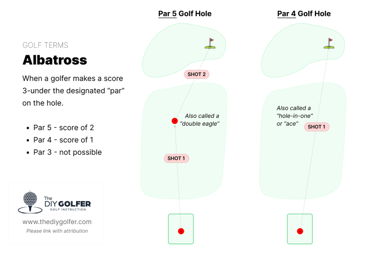 Golf Terms: What is an Albatross in Golf?