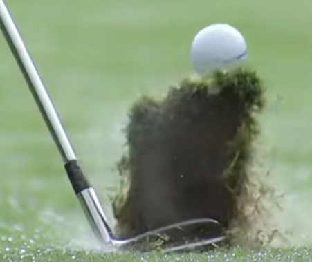 Don't let Tiger Fool you, he takes divots!