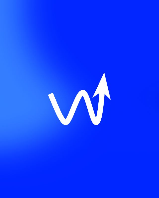 Wisemonk Team