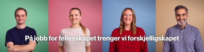Liker du å løse komplekse tekniske utfordringer gjennom kode?