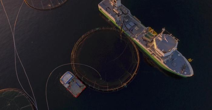Mørenot Aquaculture søker systemutvikler