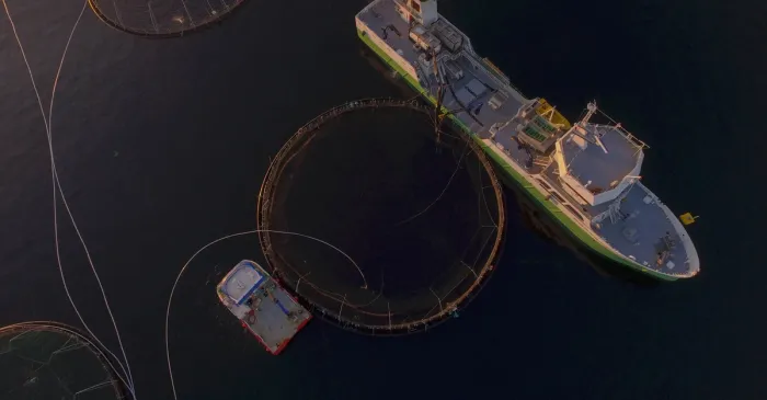 Mørenot Aquaculture søker systemutvikler