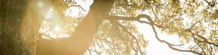 Vil du være med å forme fremtidens sparetjenester?