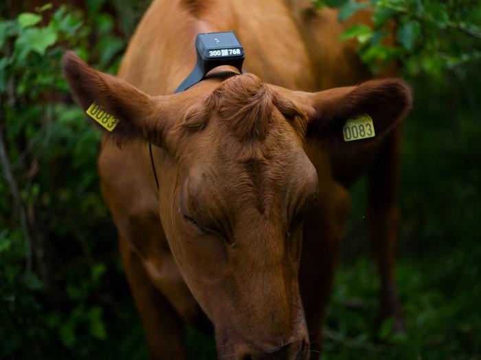 Join our adventure and make a difference for farmers, animals and the world.