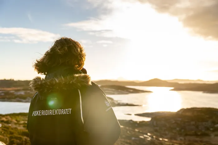 Systemutviklere - bli med og bygg fremtidens løsninger