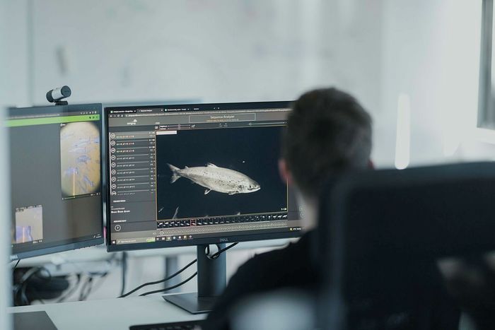 Bli med på å forme fremtidens havbruk!