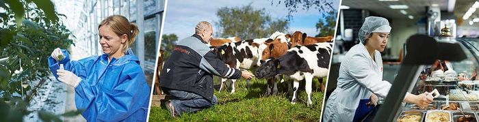 Er du en utvikler? Bli med å sikre og effektivisere fremtidens eksport